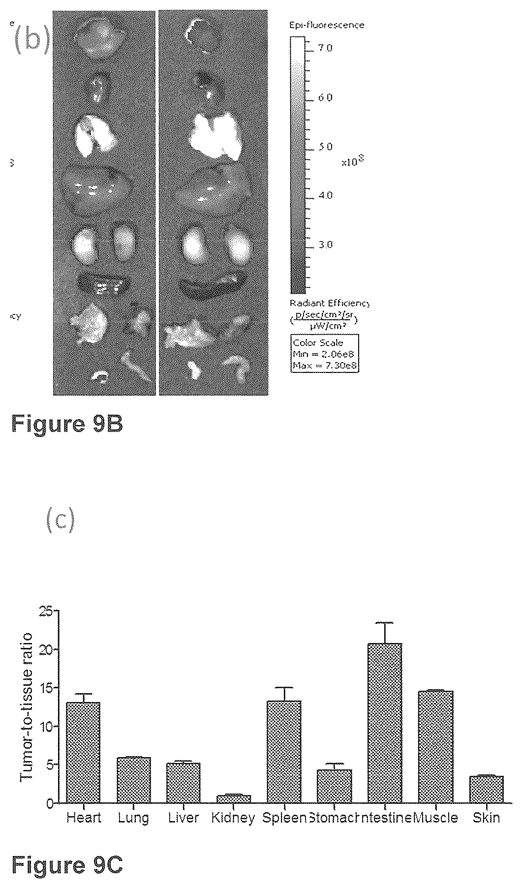 Patent US12576165 Figure 15 – Synthesis and composition of amino acid linking groups conjugated to compounds used for the targeted imaging of tumors