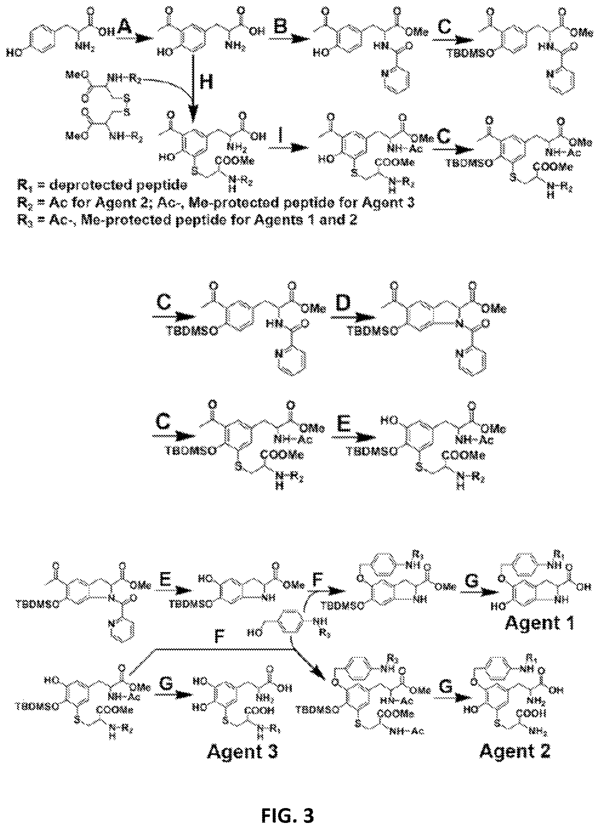 Patent US12576166 Figure 3 – Contrast agents for detection of enzyme activities based on melanin synthesis