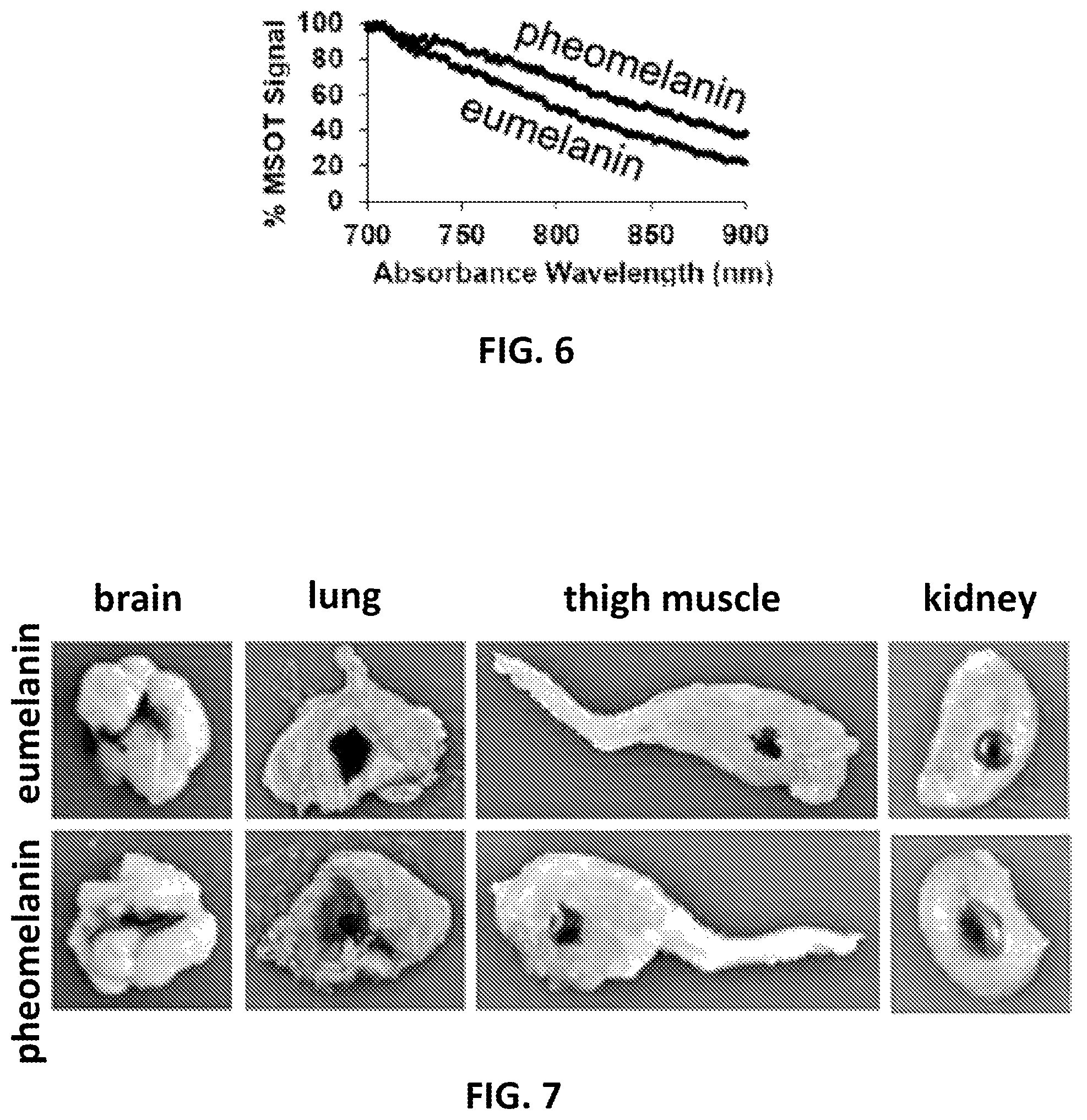 Patent US12576166 Figure 6 – Contrast agents for detection of enzyme activities based on melanin synthesis
