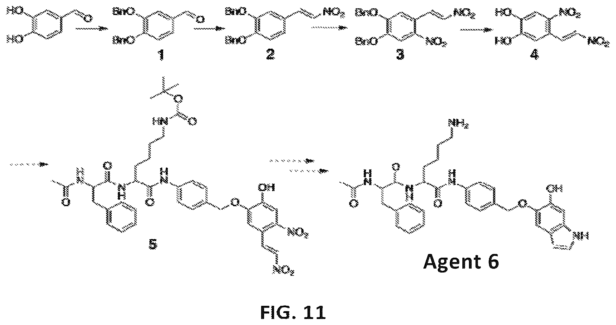 Patent US12576166 Figure 10 – Contrast agents for detection of enzyme activities based on melanin synthesis