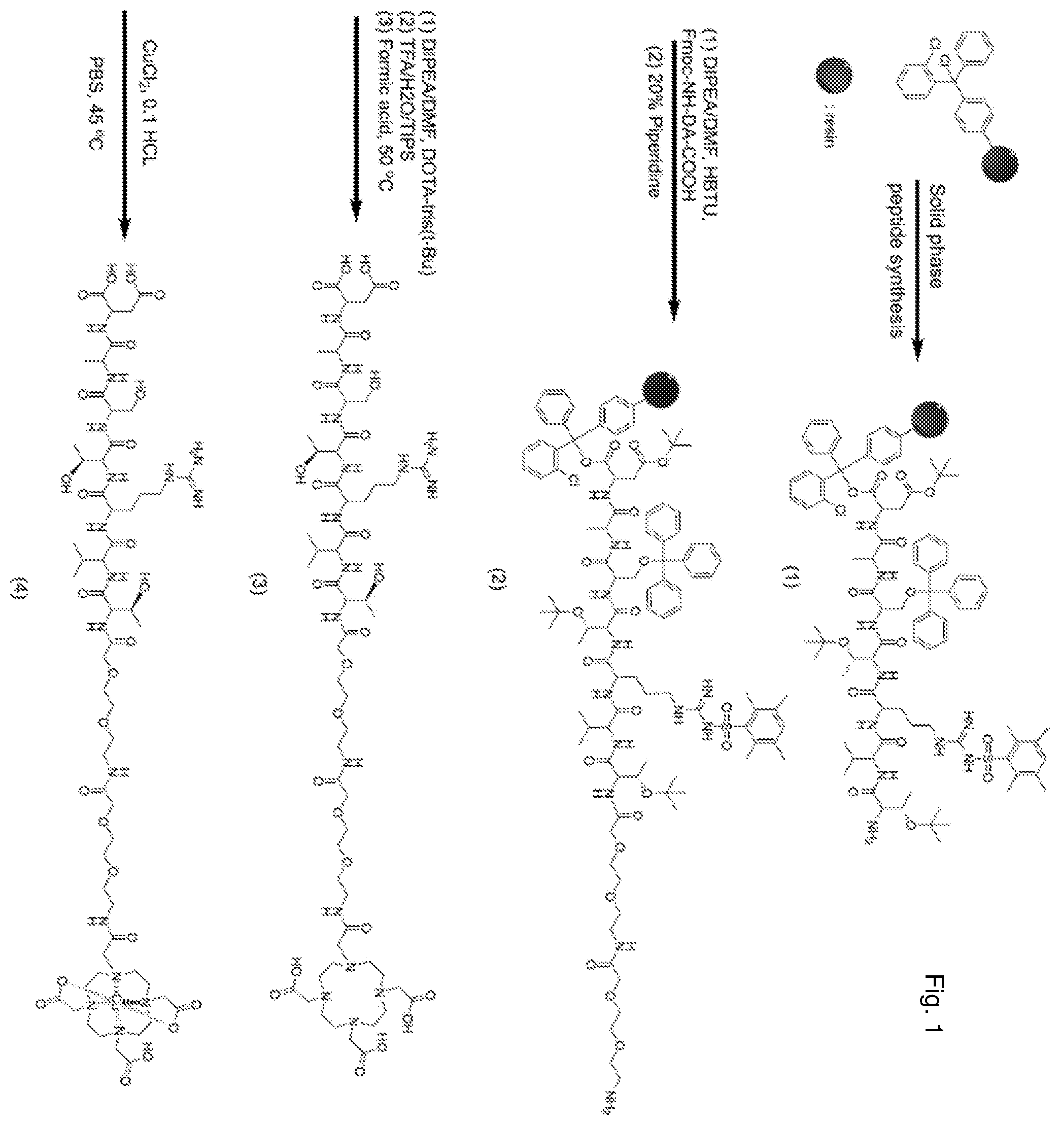 Patent US12576168 Figure 1 – Peptide PET/SPECT probes specific to oncoproteins in tumor extracellular matrix