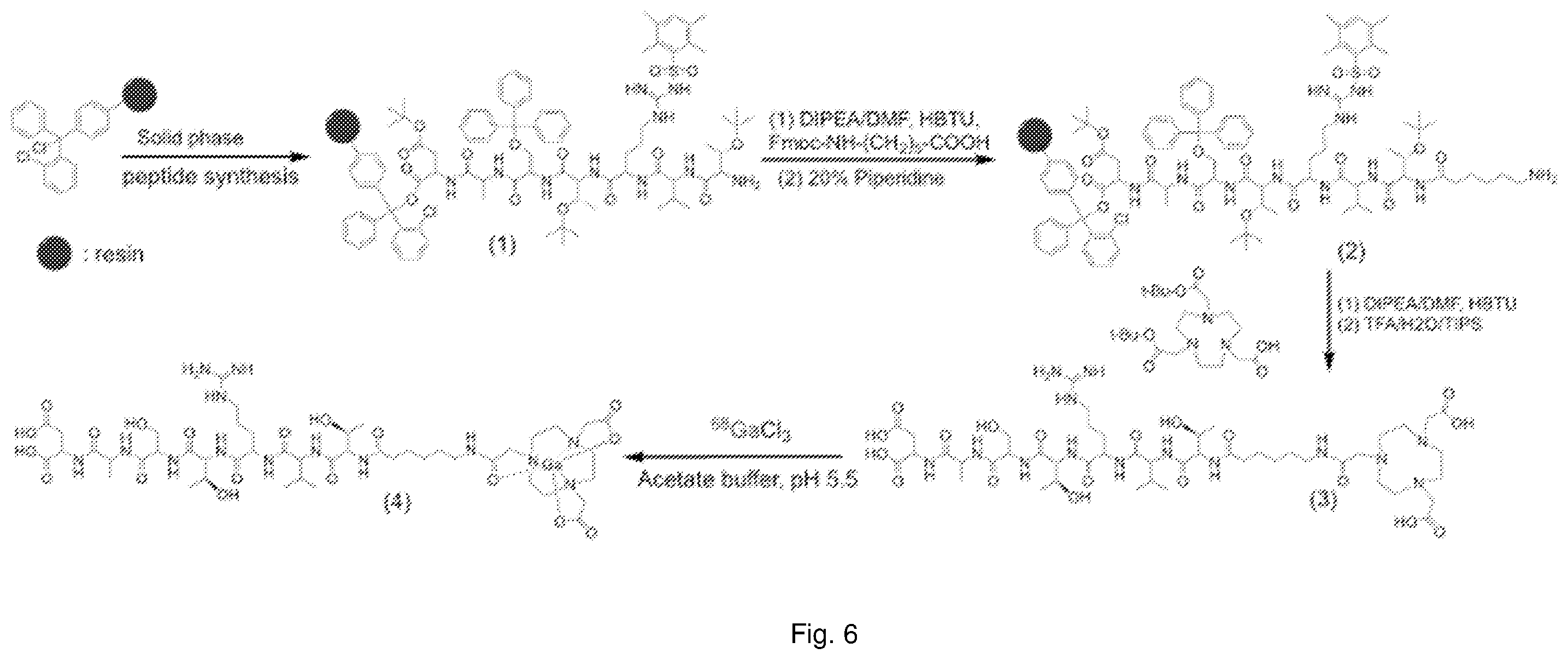 Patent US12576168 Figure 6 – Peptide PET/SPECT probes specific to oncoproteins in tumor extracellular matrix