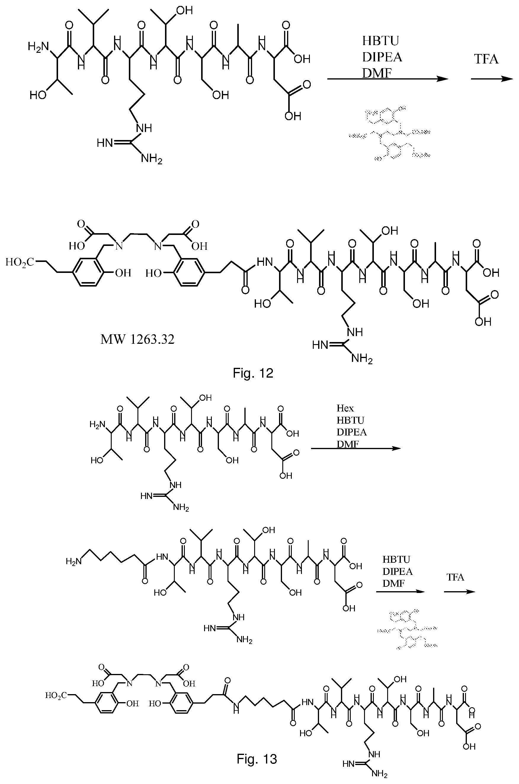 Patent US12576168 Figure 12 – Peptide PET/SPECT probes specific to oncoproteins in tumor extracellular matrix