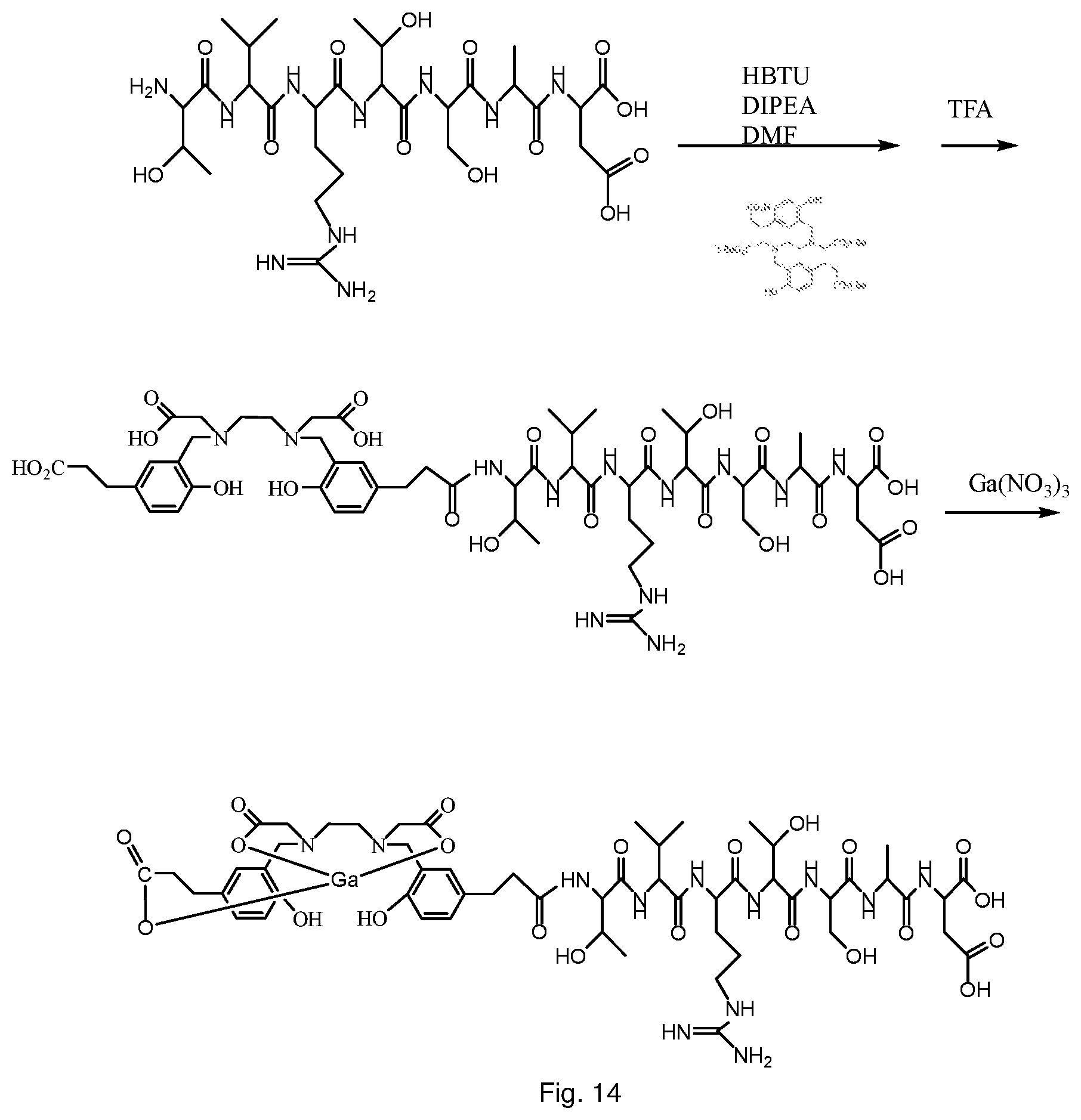 Patent US12576168 Figure 13 – Peptide PET/SPECT probes specific to oncoproteins in tumor extracellular matrix