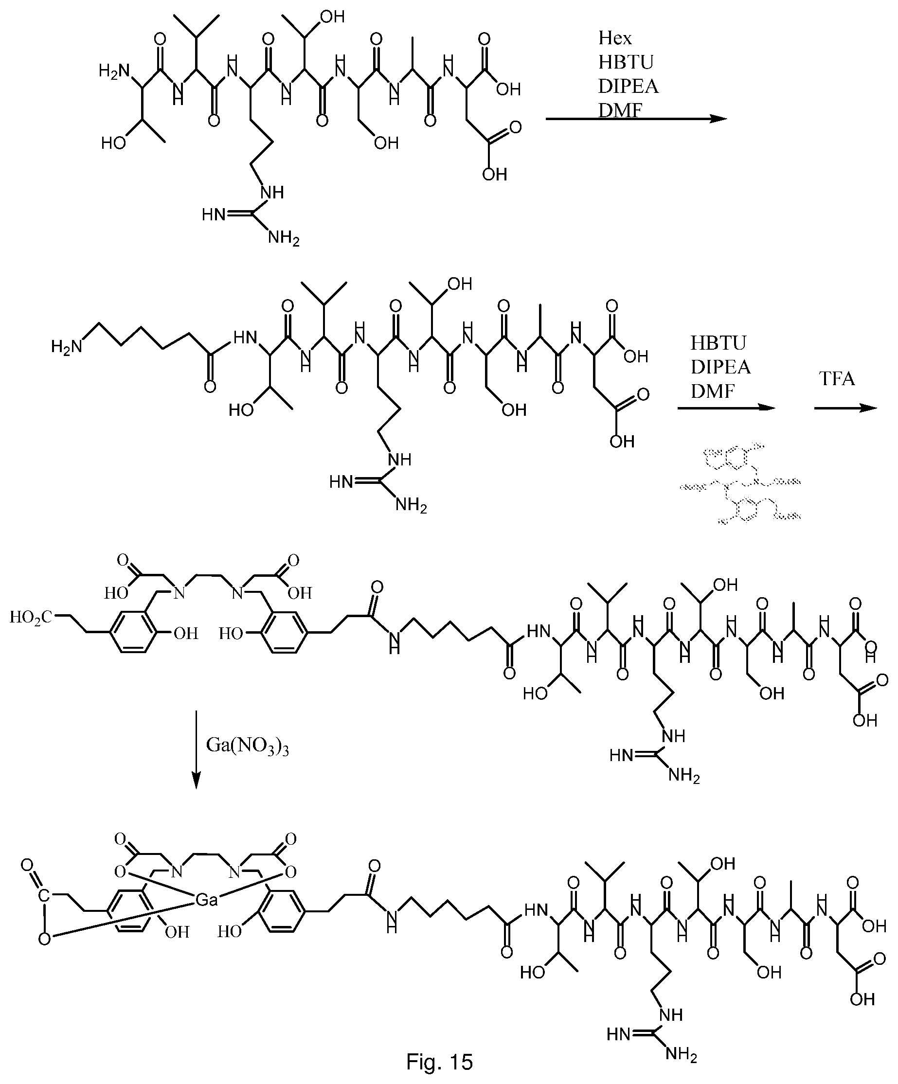 Patent US12576168 Figure 14 – Peptide PET/SPECT probes specific to oncoproteins in tumor extracellular matrix