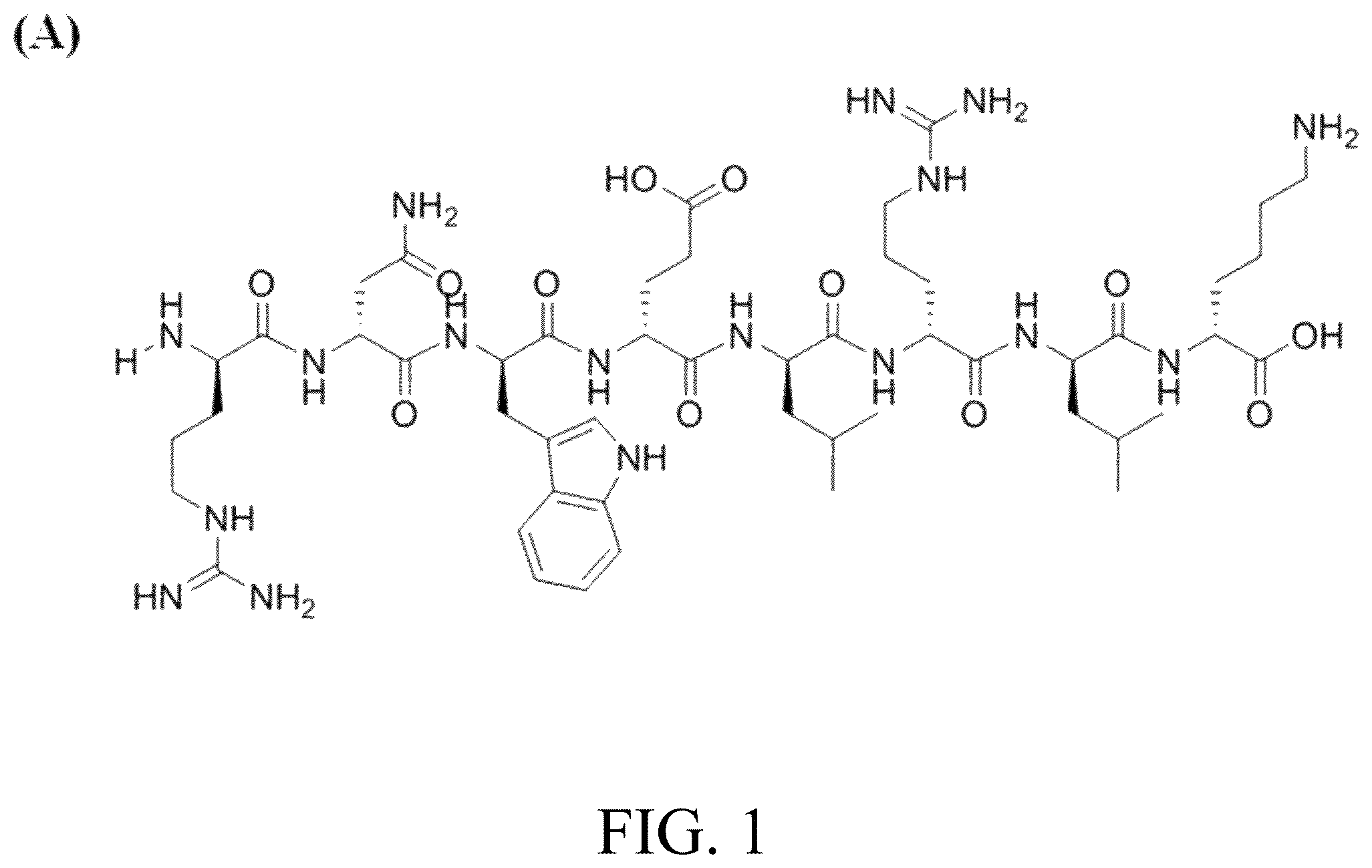 Patent US12576170 Figure 1 – Rk polypeptide radiopharmaceutical targeting HER2 and preparation method thereof