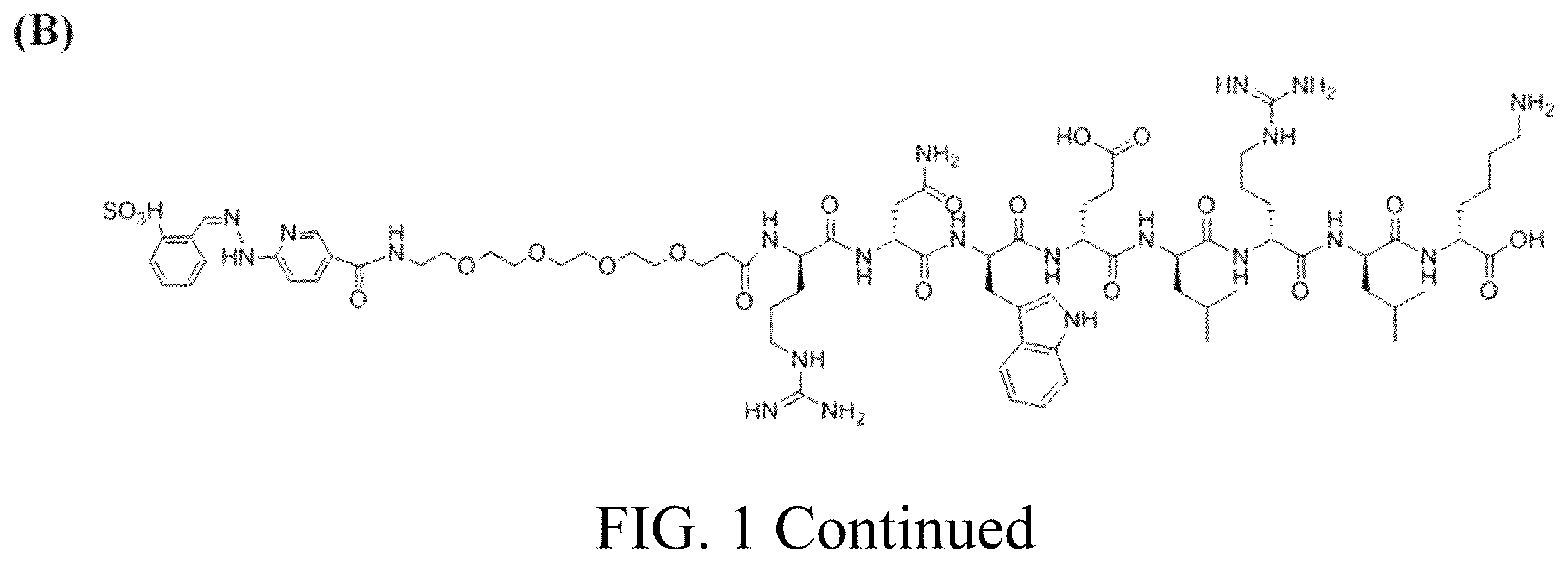 Patent US12576170 Figure 2 – Rk polypeptide radiopharmaceutical targeting HER2 and preparation method thereof