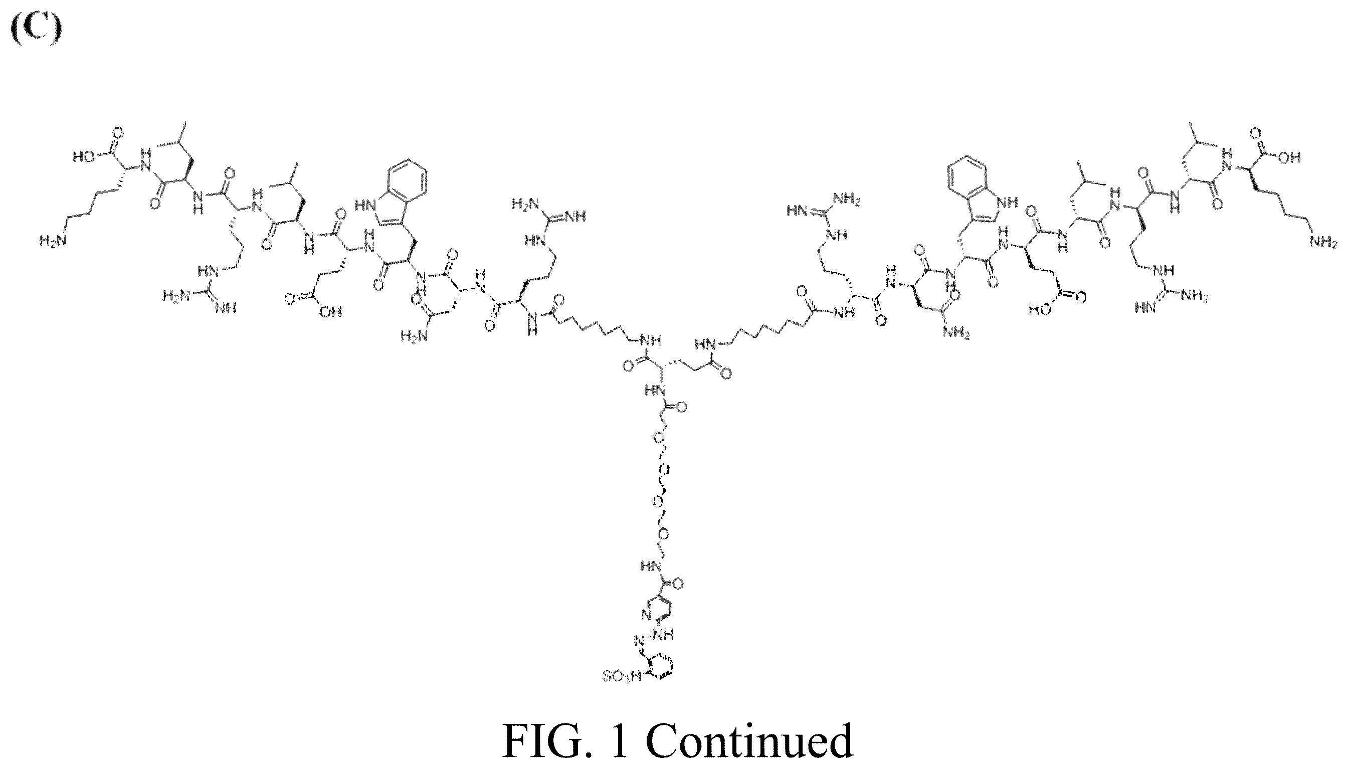 Patent US12576170 Figure 3 – Rk polypeptide radiopharmaceutical targeting HER2 and preparation method thereof
