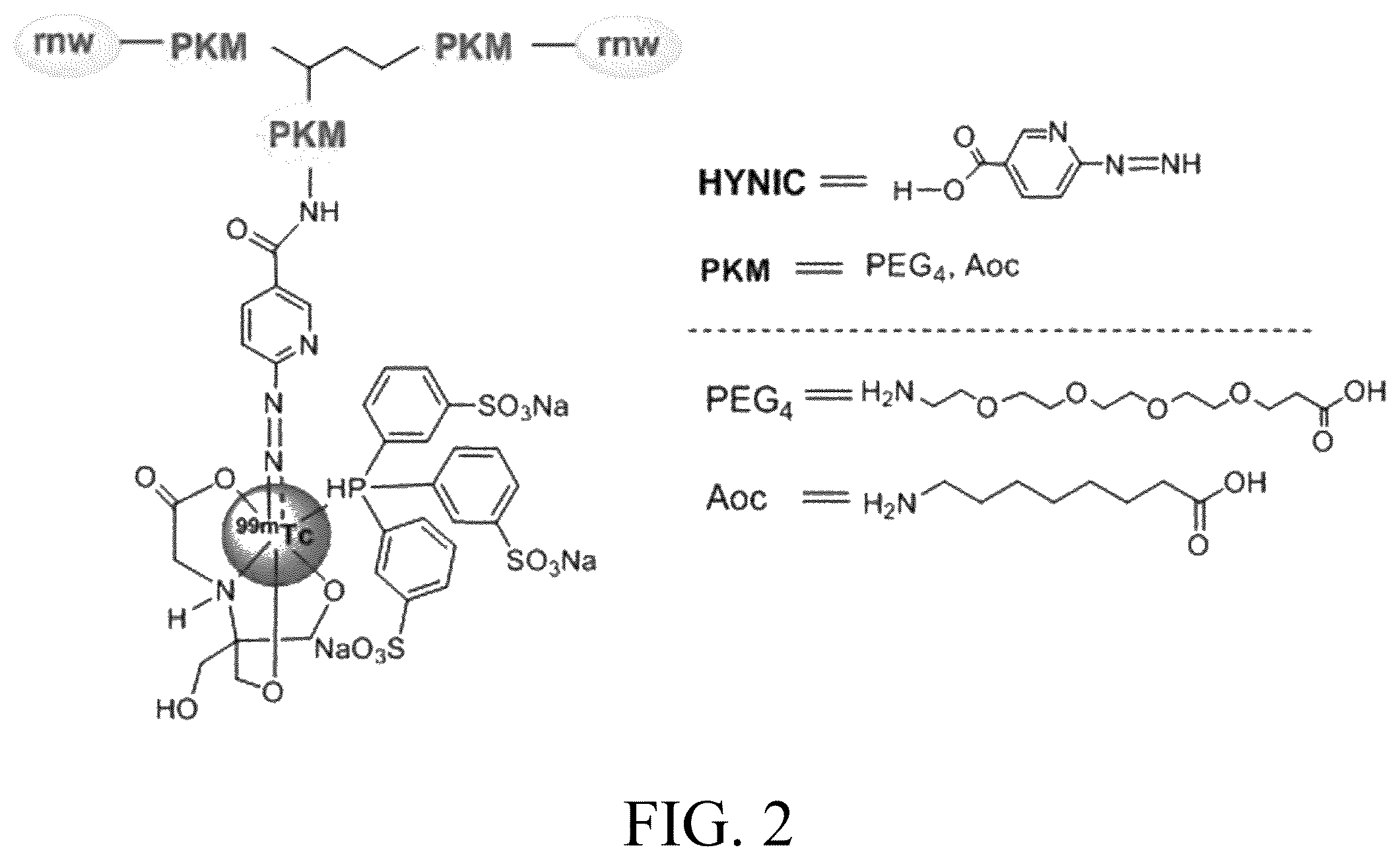Patent US12576170 Figure 4 – Rk polypeptide radiopharmaceutical targeting HER2 and preparation method thereof