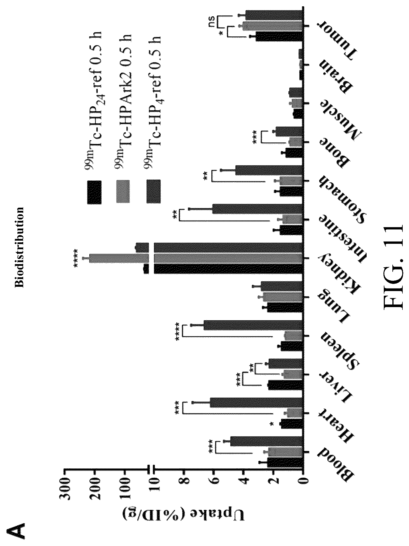 Patent US12576170 Figure 14 – Rk polypeptide radiopharmaceutical targeting HER2 and preparation method thereof