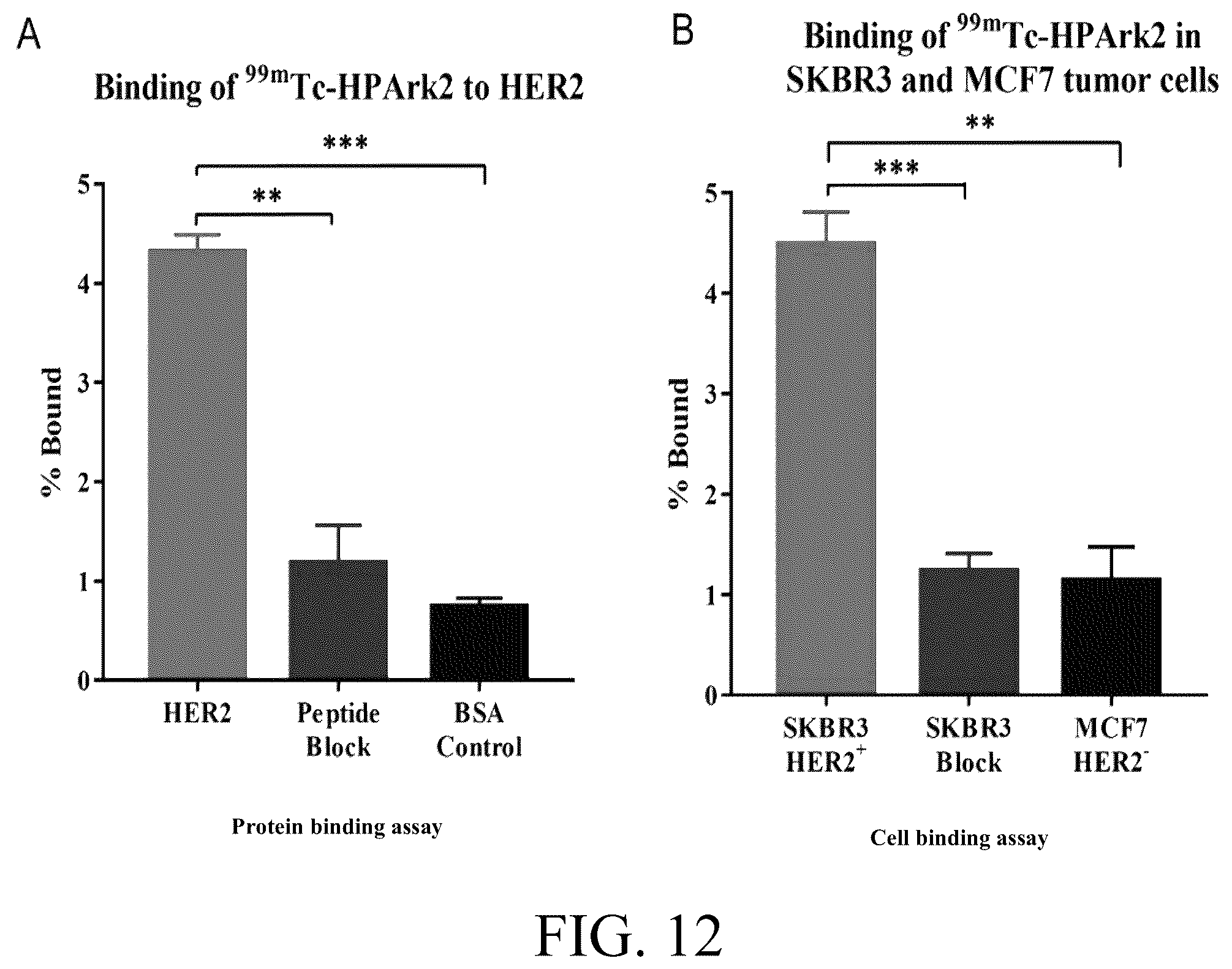 Patent US12576170 Figure 16 – Rk polypeptide radiopharmaceutical targeting HER2 and preparation method thereof
