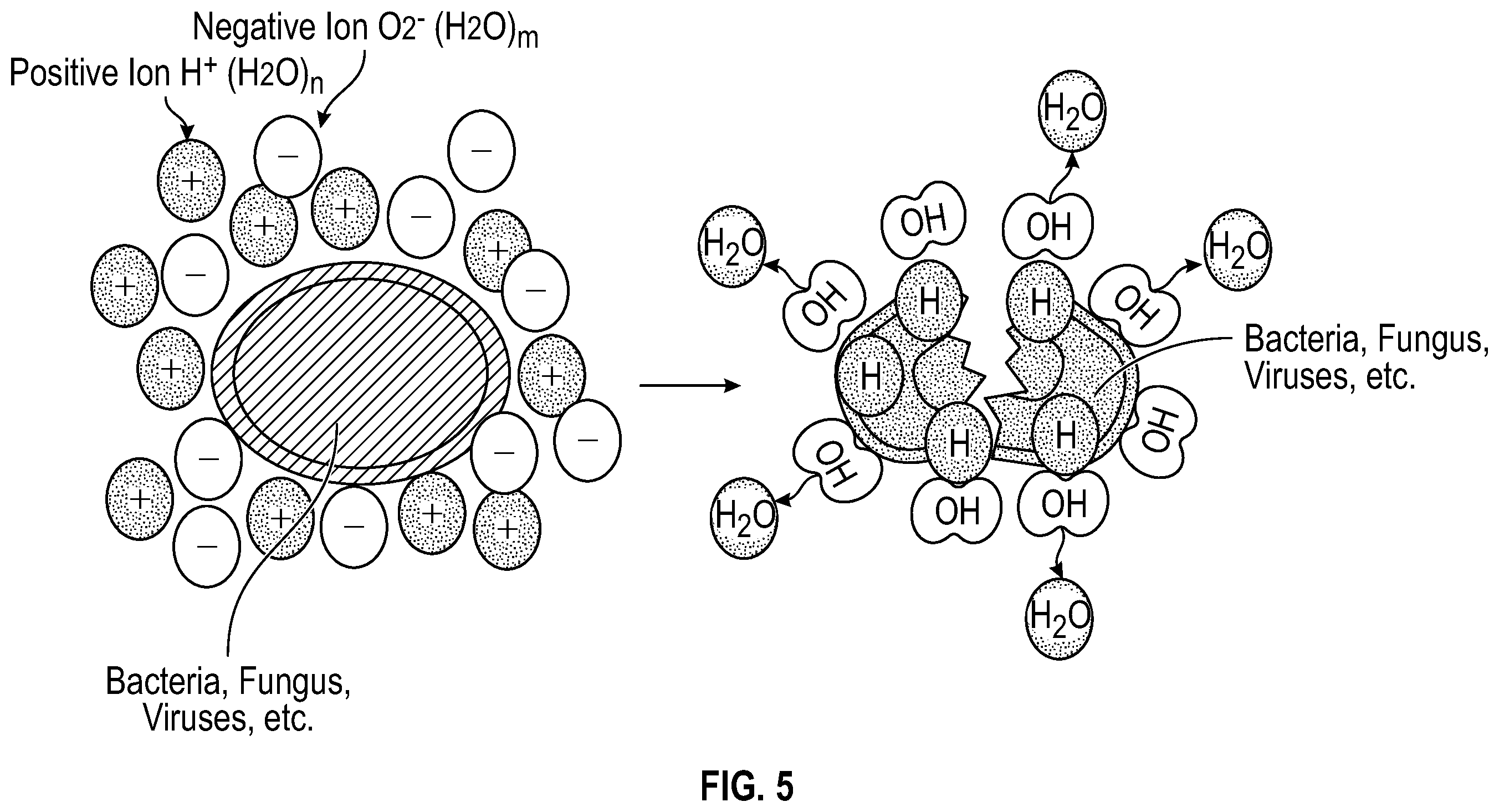 Patent US12576174 Figure 10 – Dual polar air and surface purification system and method with passenger interface application