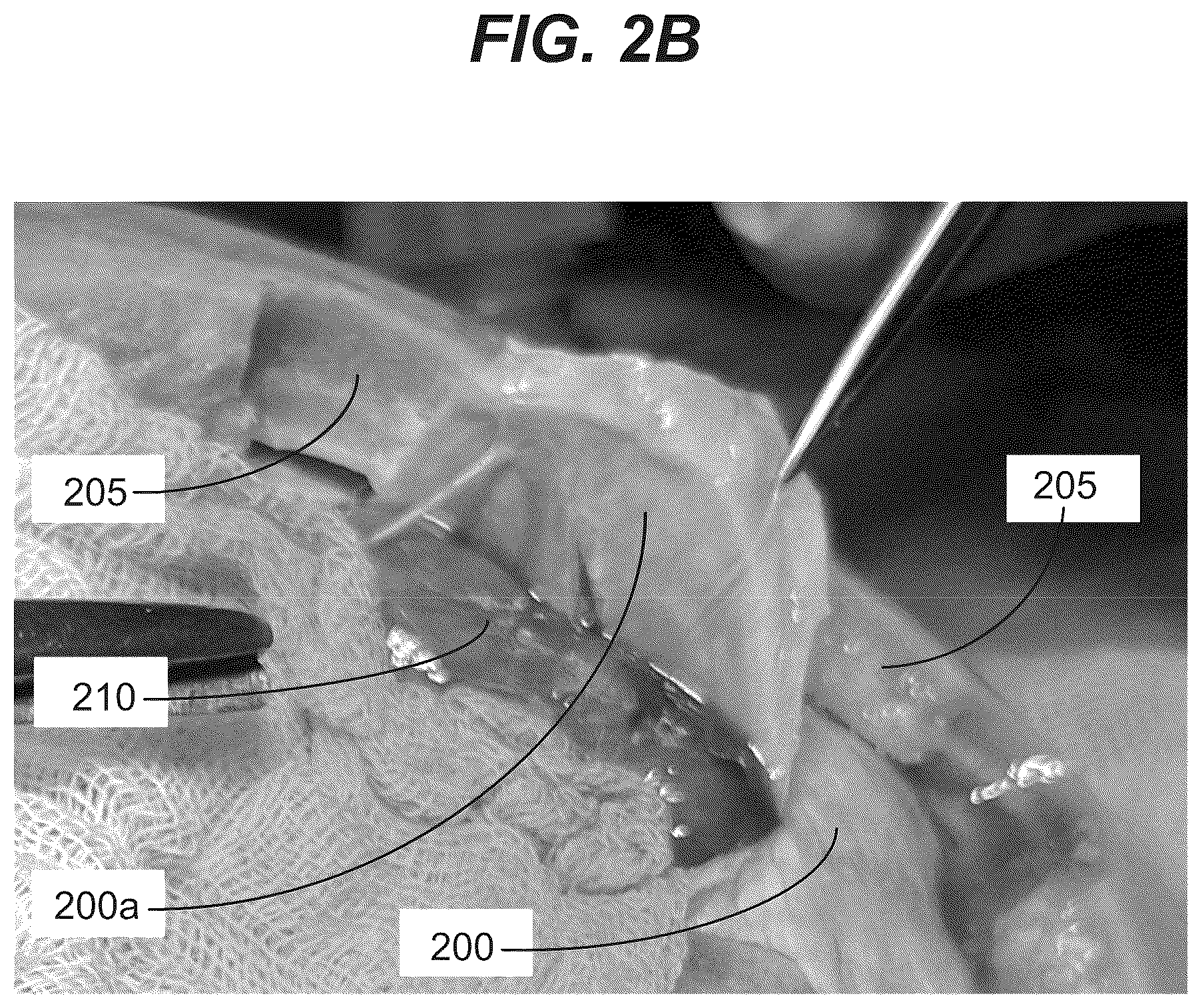 Patent US12576182 Figure 3 – Absorbable dressings for sealing sensitive neural tissue and dura matter