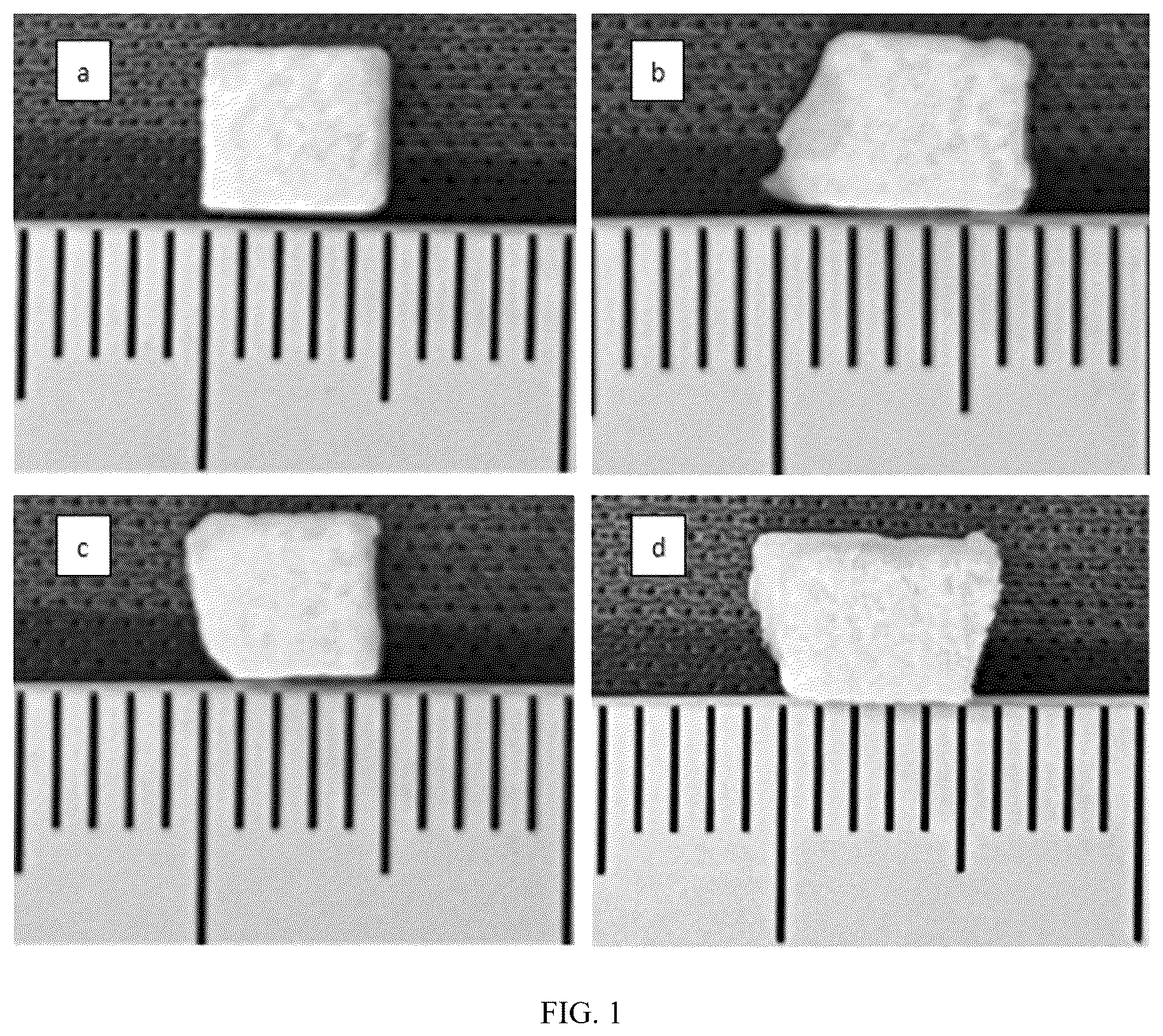 Patent US12576184 Figure 1 – Coralline hydroxyapatite and preparation method thereof