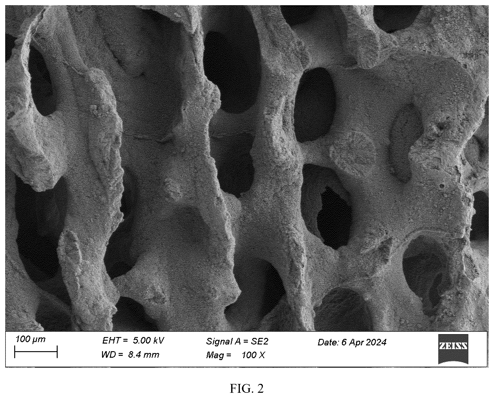 Patent US12576184 Figure 2 – Coralline hydroxyapatite and preparation method thereof