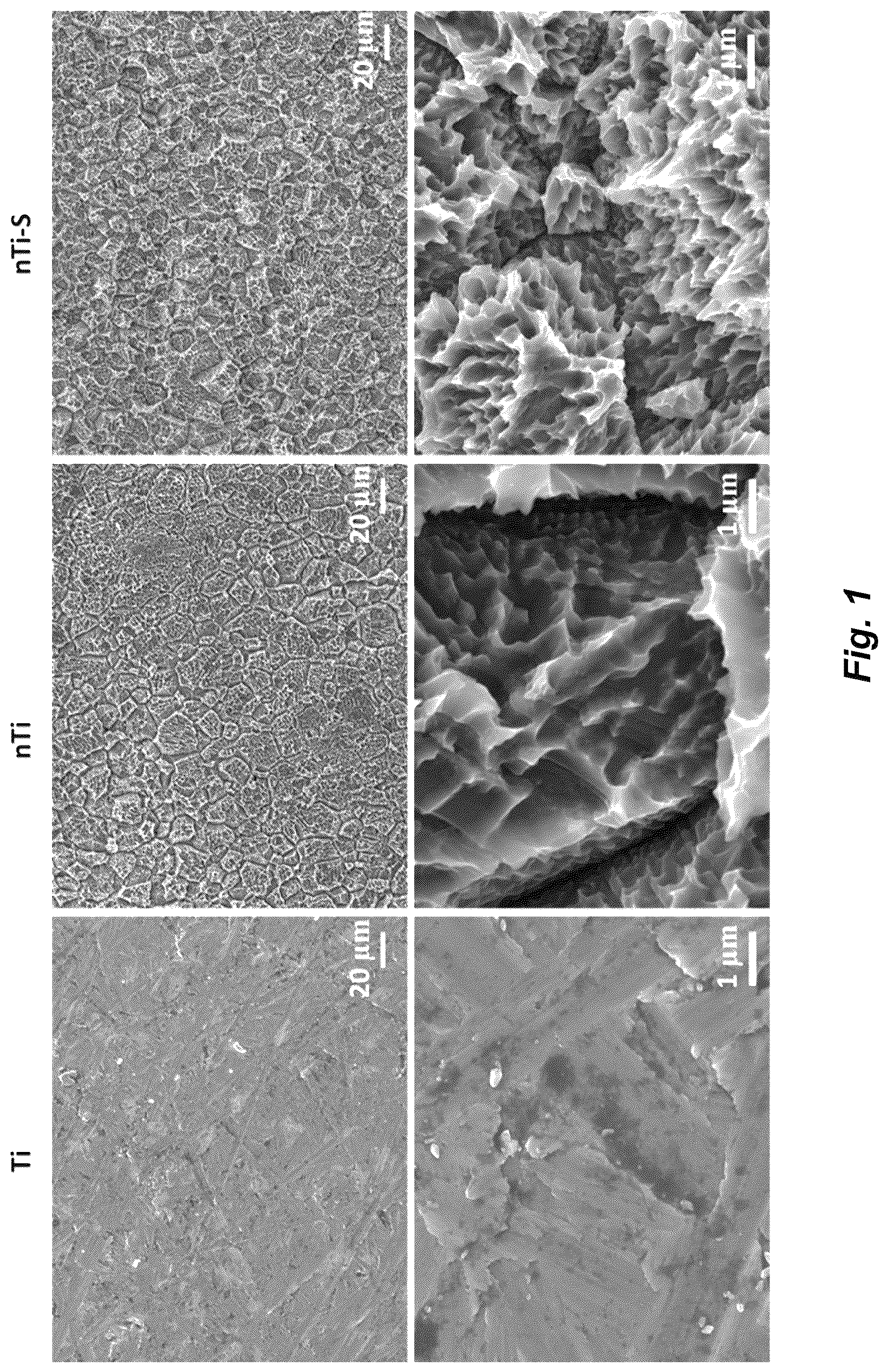 Patent US12576187 Figure 1 – Antiadhesive superhydrophobic surfaces