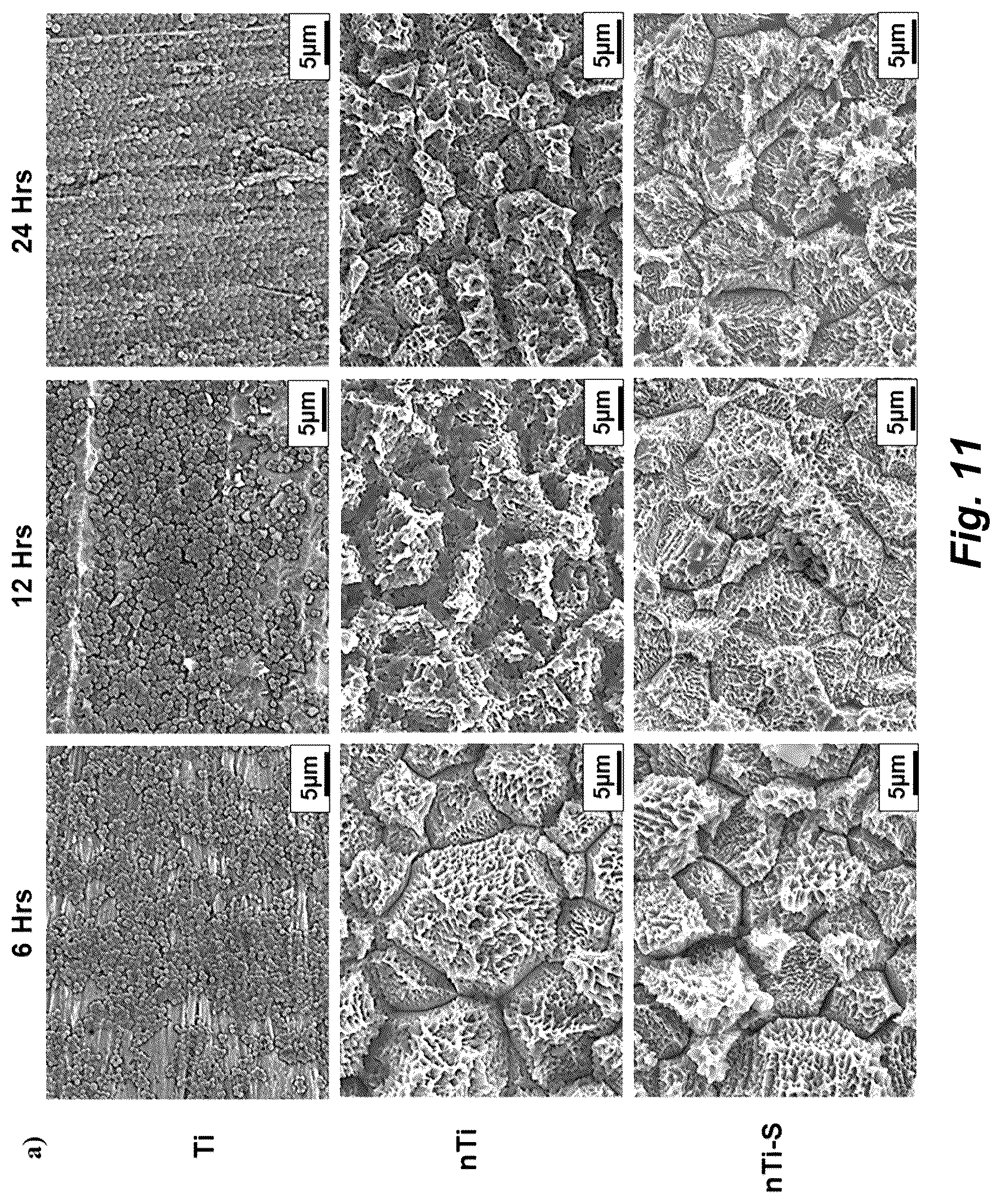 Patent US12576187 Figure 14 – Antiadhesive superhydrophobic surfaces