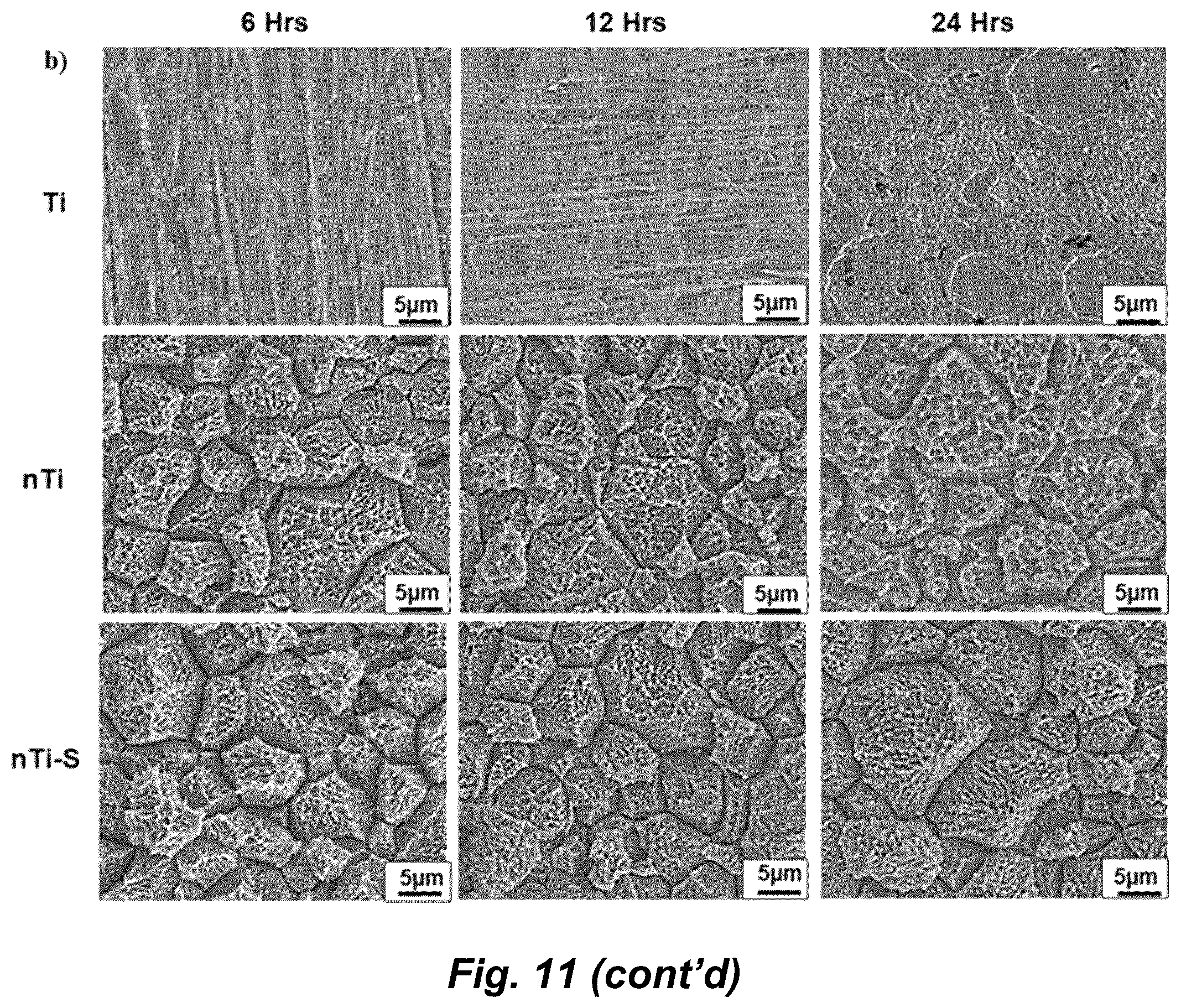 Patent US12576187 Figure 15 – Antiadhesive superhydrophobic surfaces