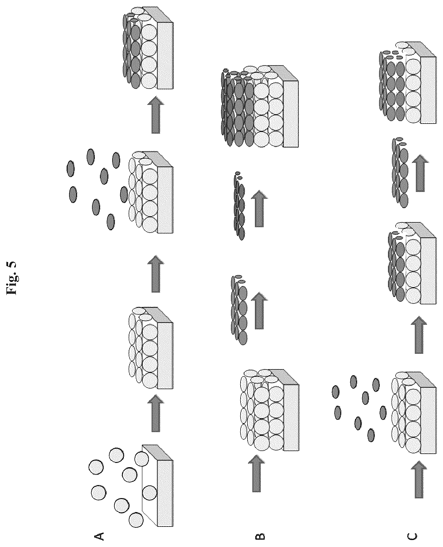 Patent US12576188 Figure 5 – Engineered three-dimensional skin tissues, arrays thereof, and methods of making the same