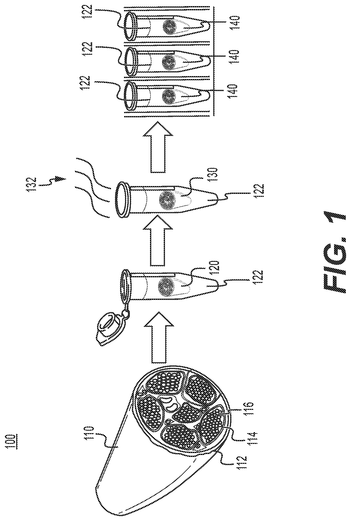 Patent US12576189 — Nerve grafts containing regenerative compounds, methods of making the same, and methods of treatment using the same — Figure 1