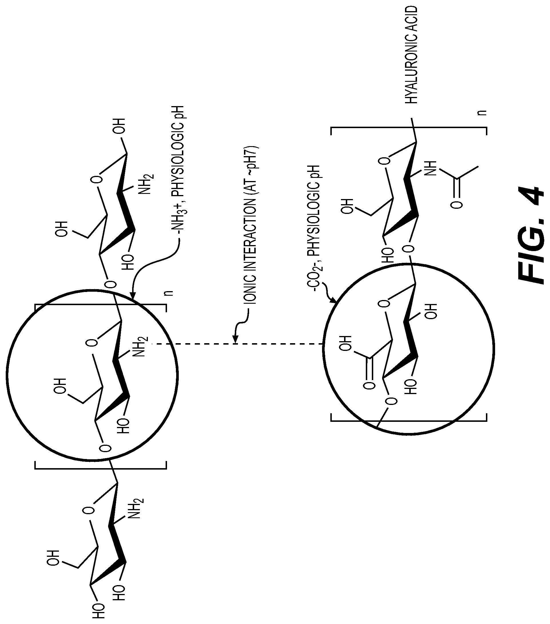 Patent US12576190 Figure 4 – Tissue repair membrane adapted for adhesion and lubrication, and methods for preparing the same