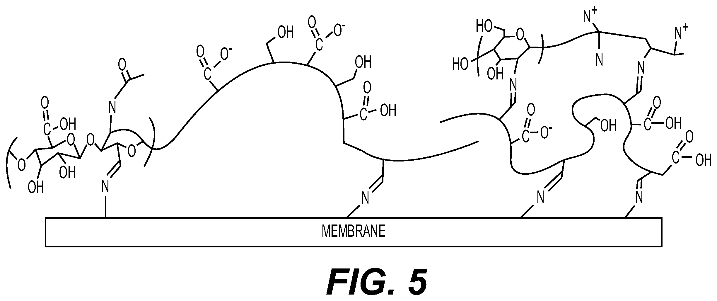 Patent US12576190 Figure 5 – Tissue repair membrane adapted for adhesion and lubrication, and methods for preparing the same
