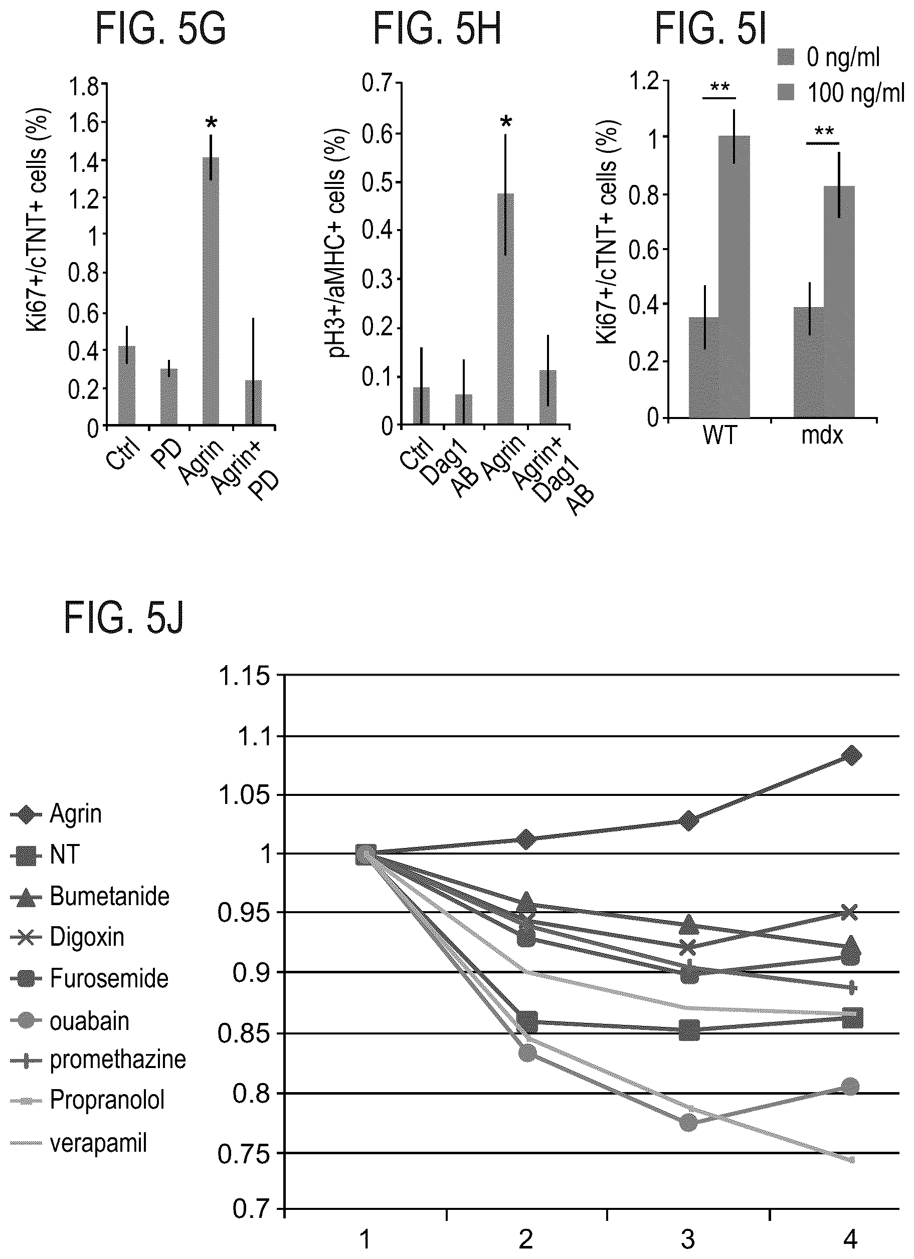 Patent US12576191 Figure 13 – Method of inducing cardiomyocytes proliferation and treating heart diseases