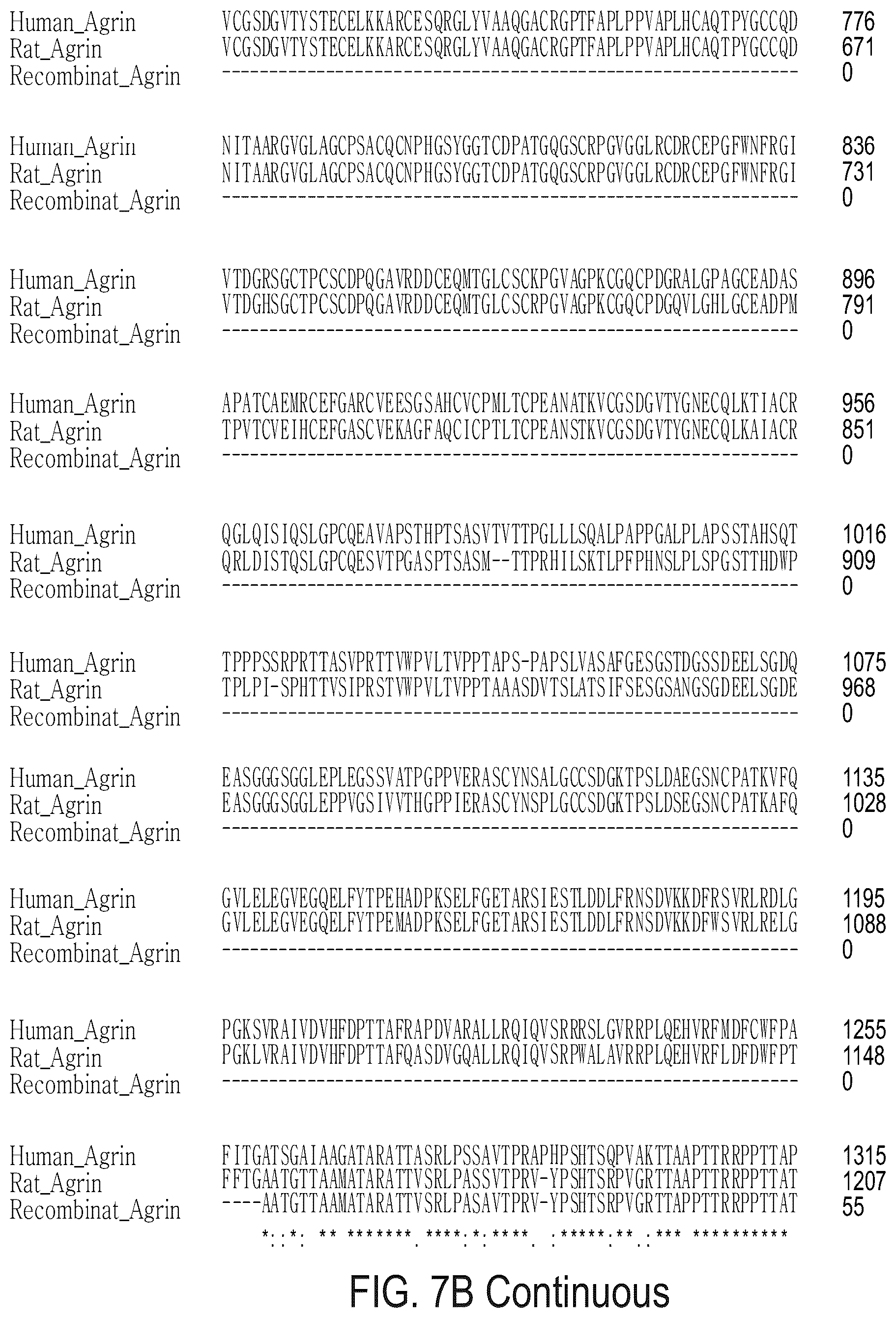 Patent US12576191 Figure 17 – Method of inducing cardiomyocytes proliferation and treating heart diseases