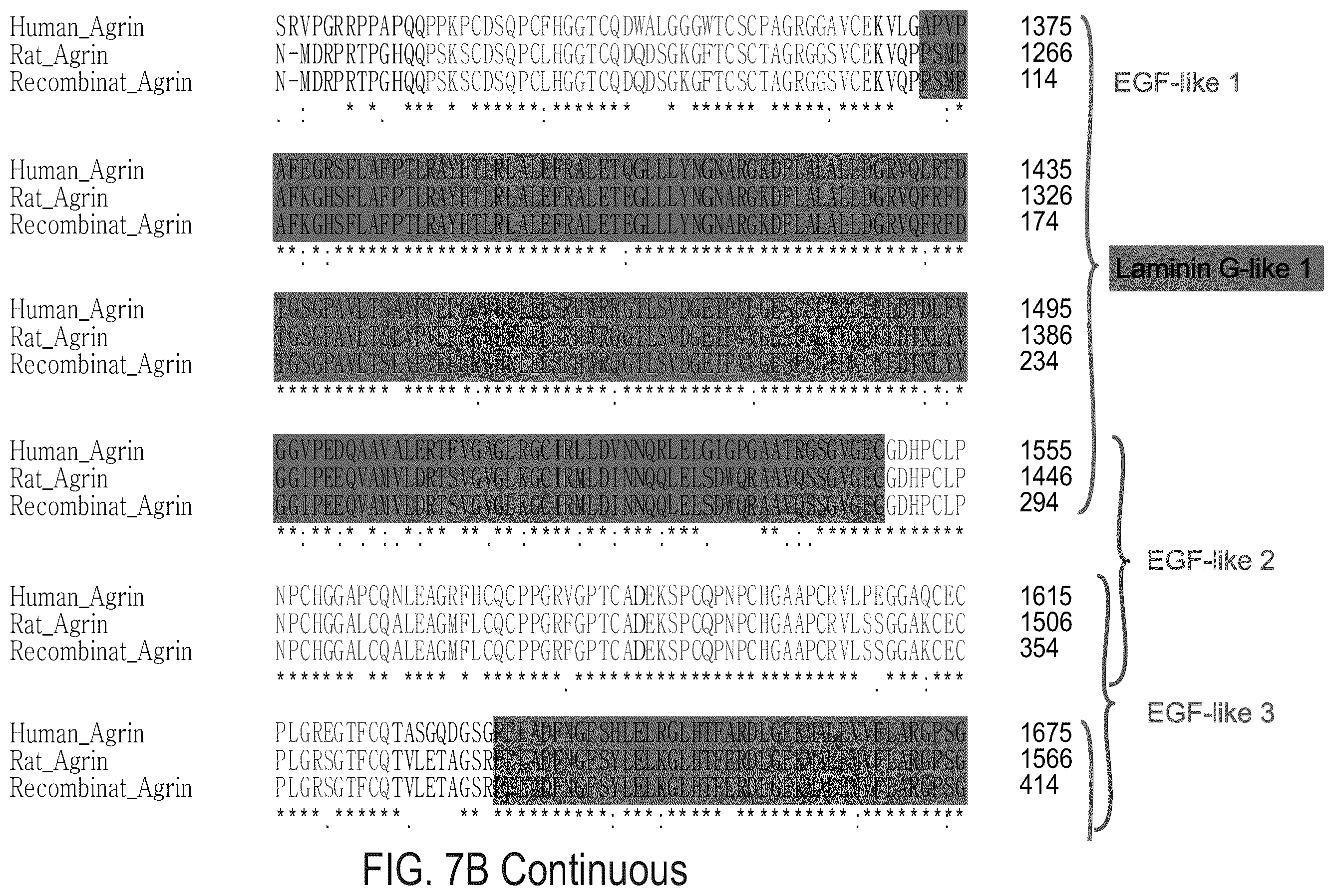 Patent US12576191 Figure 18 – Method of inducing cardiomyocytes proliferation and treating heart diseases