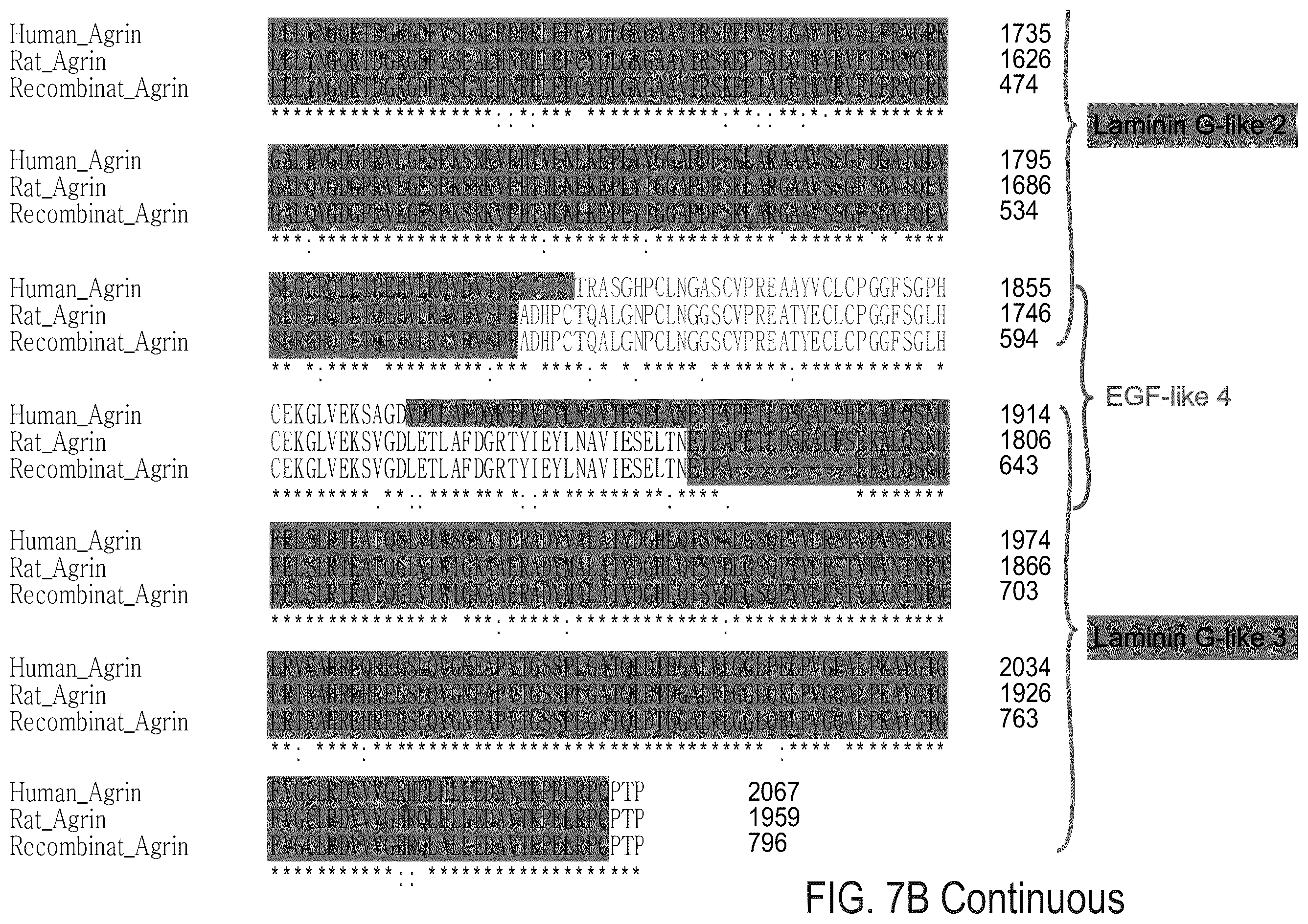 Patent US12576191 Figure 19 – Method of inducing cardiomyocytes proliferation and treating heart diseases
