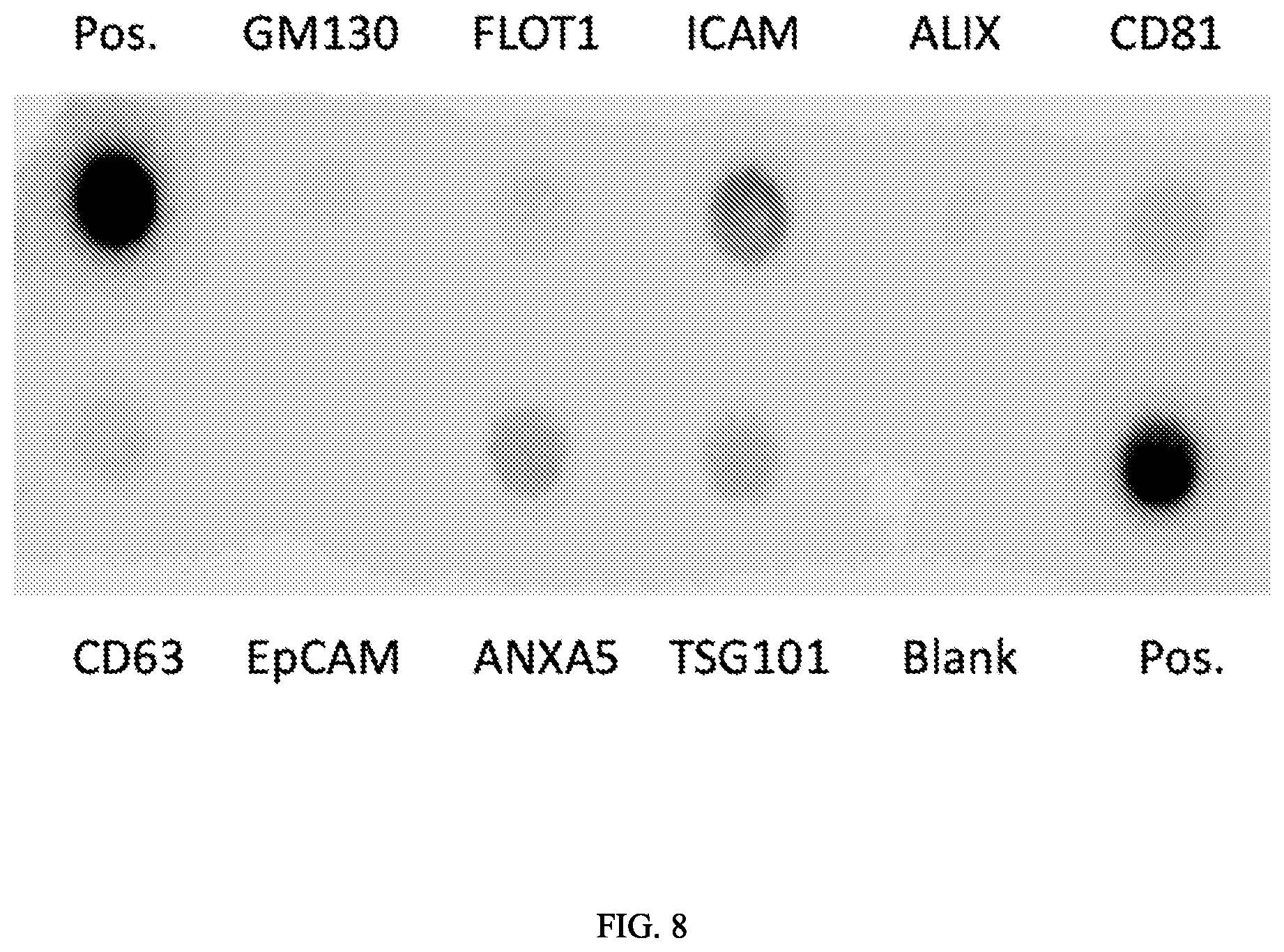 Patent US12576201 Figure 8 – Methods for isolating umbilical cord blood plasma products, tissue and cellular exosomes, and compositions and methods of use thereof