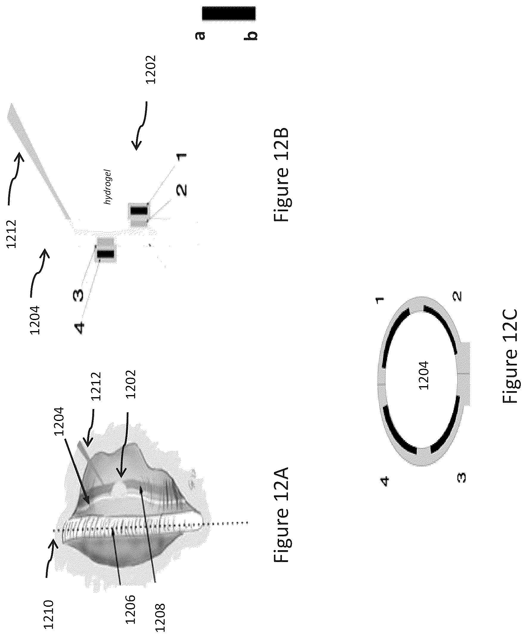 Patent US12576268 Figure 13 – Conformable neural interface device with hydrogel adhesion and methods of using the same