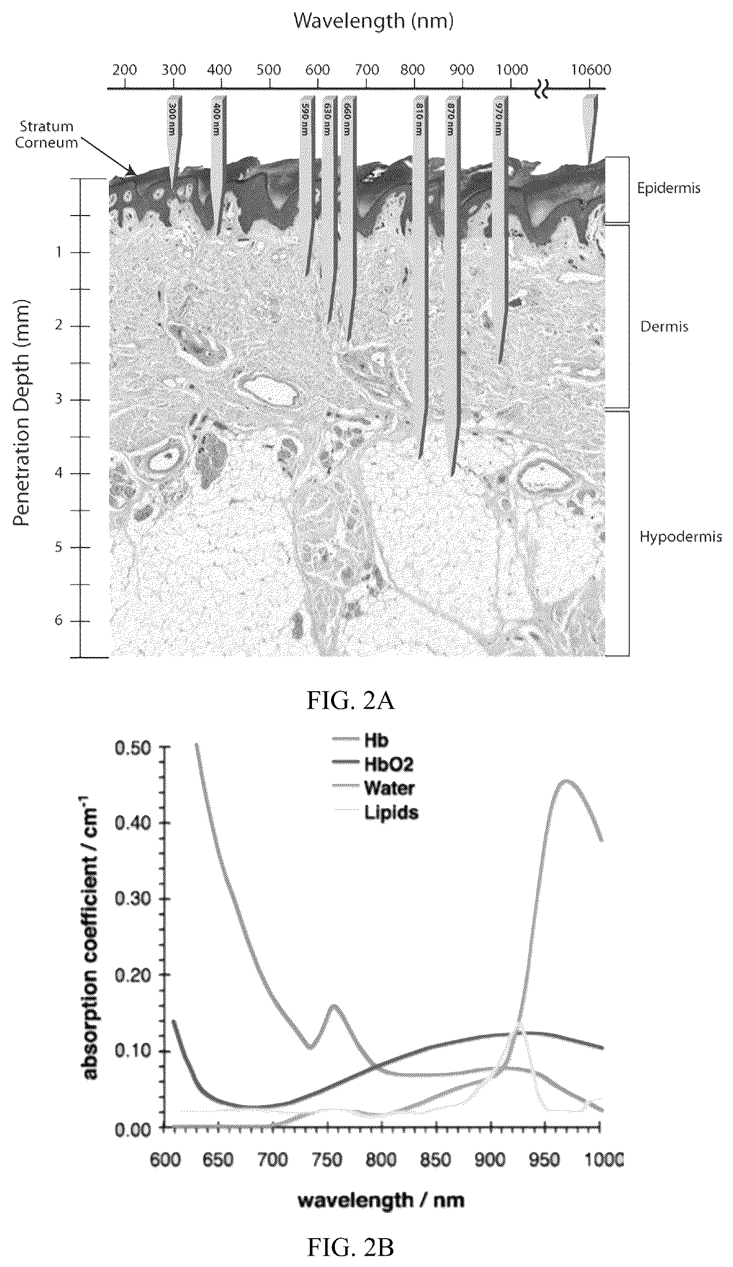 Patent US12576282 Figure 2 – Wearable phototherapy display device