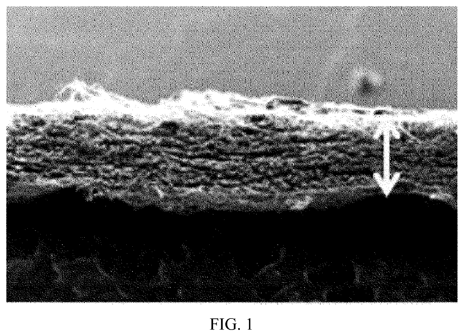 Patent US12576353 Figure 1 – Positively charged filter material with ability for removing charged particles efficiently, and method for producing same