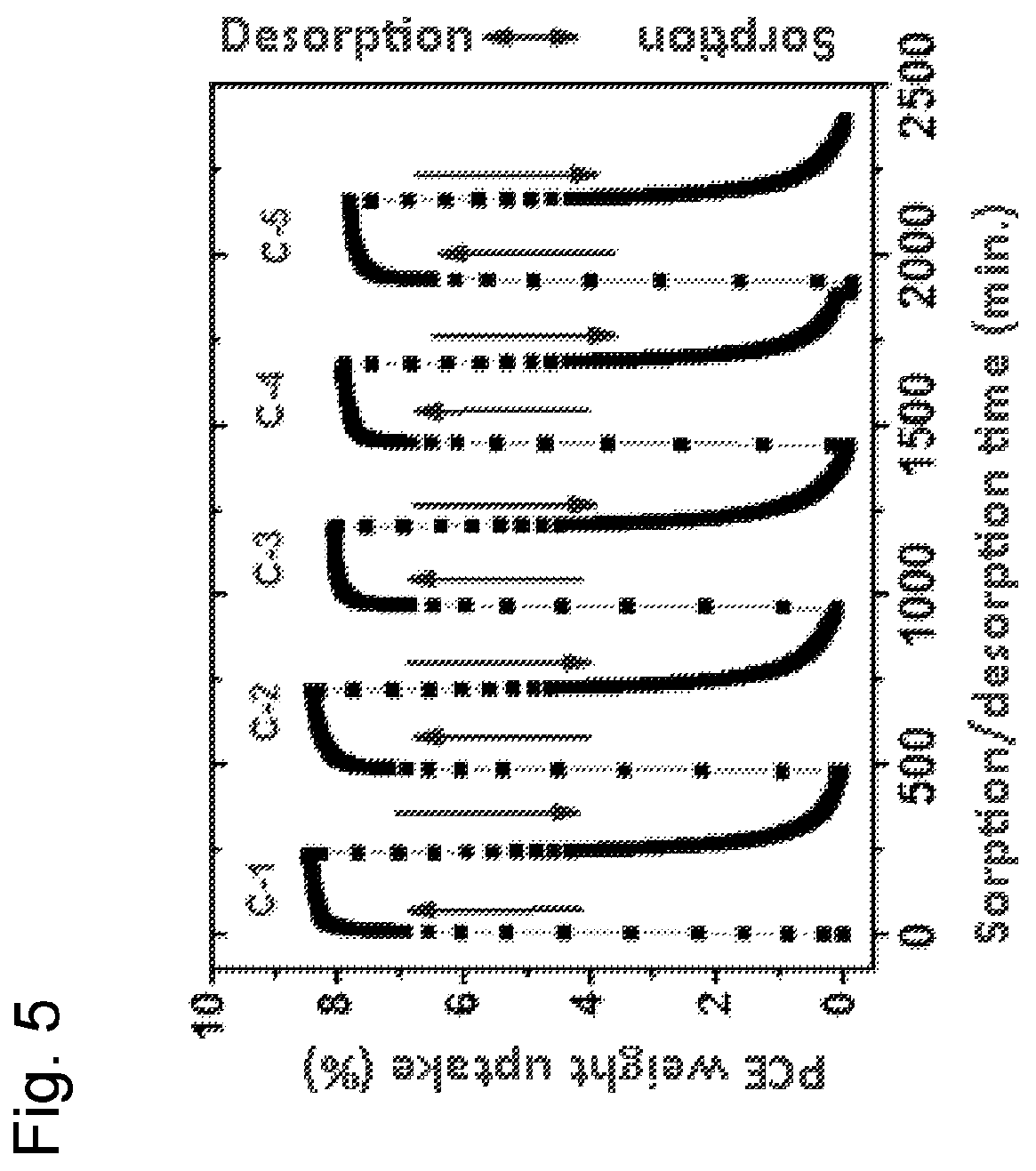 Patent US12576366 Figure 3 – PPO based film with high surface area and procedures for the obtainment thereof
