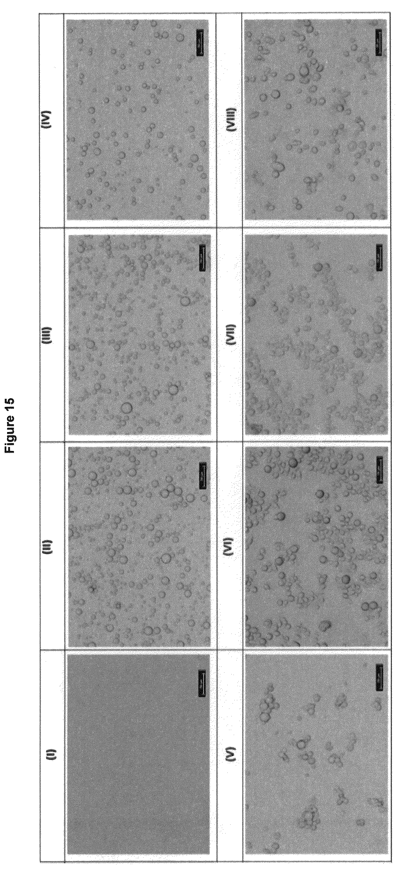 Patent US12576380 Figure 8 – Environmentally friendly microcapsules and a method for the production thereof