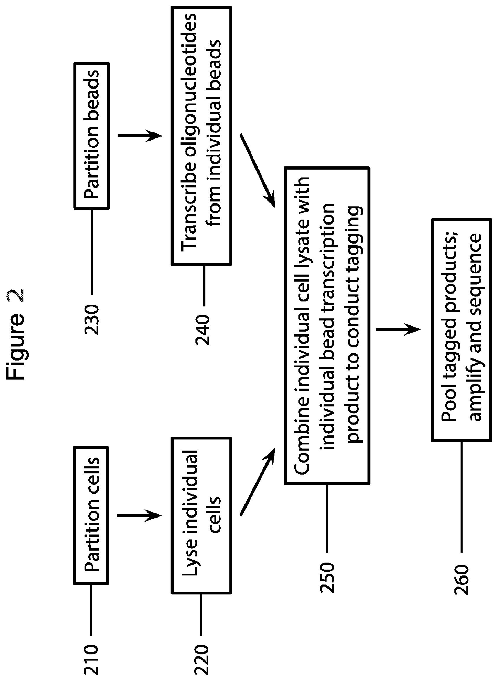 Patent US12576381 Figure 2 – Methods and compositions for tagging and analyzing samples