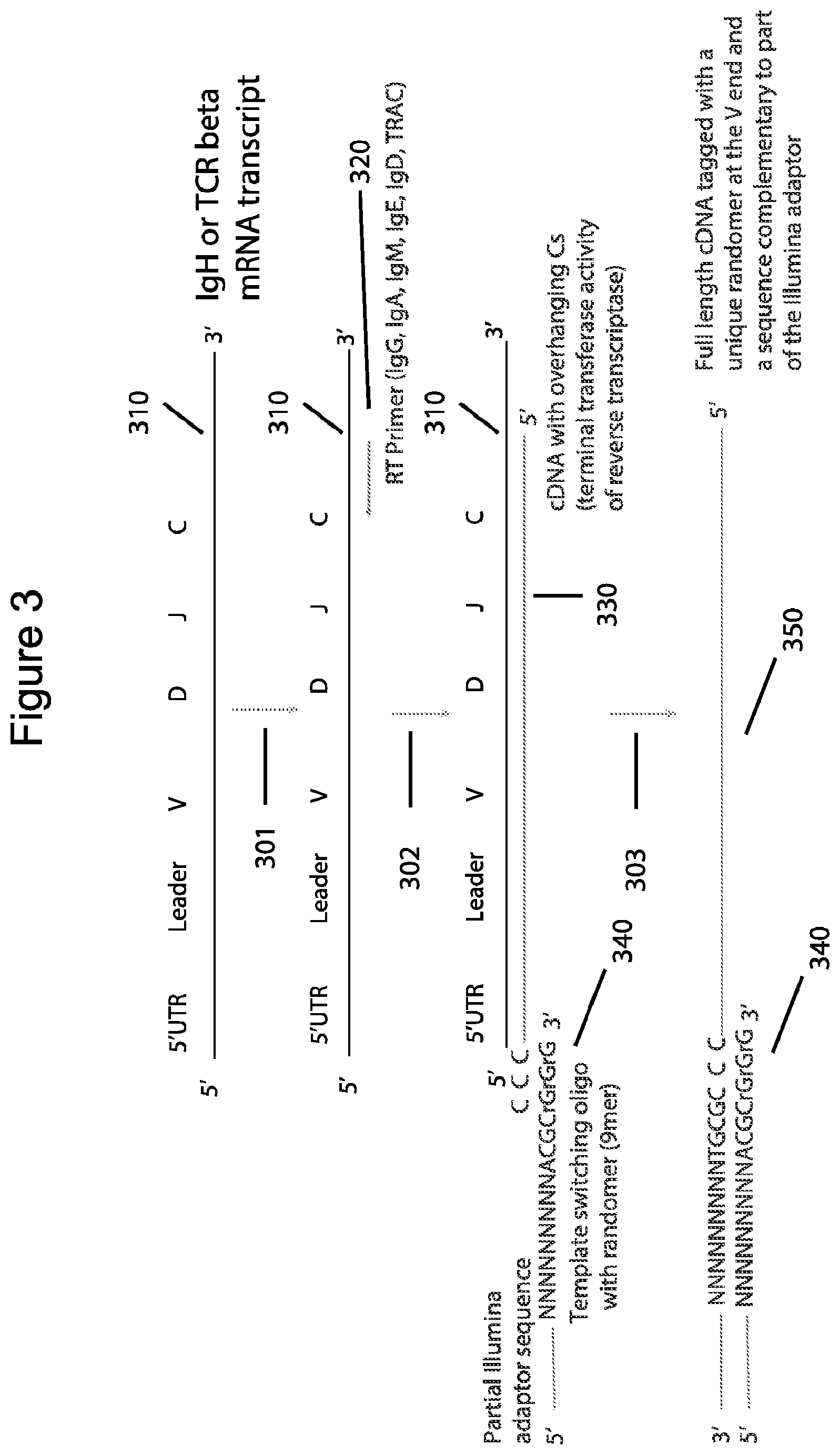 Patent US12576381 Figure 3 – Methods and compositions for tagging and analyzing samples
