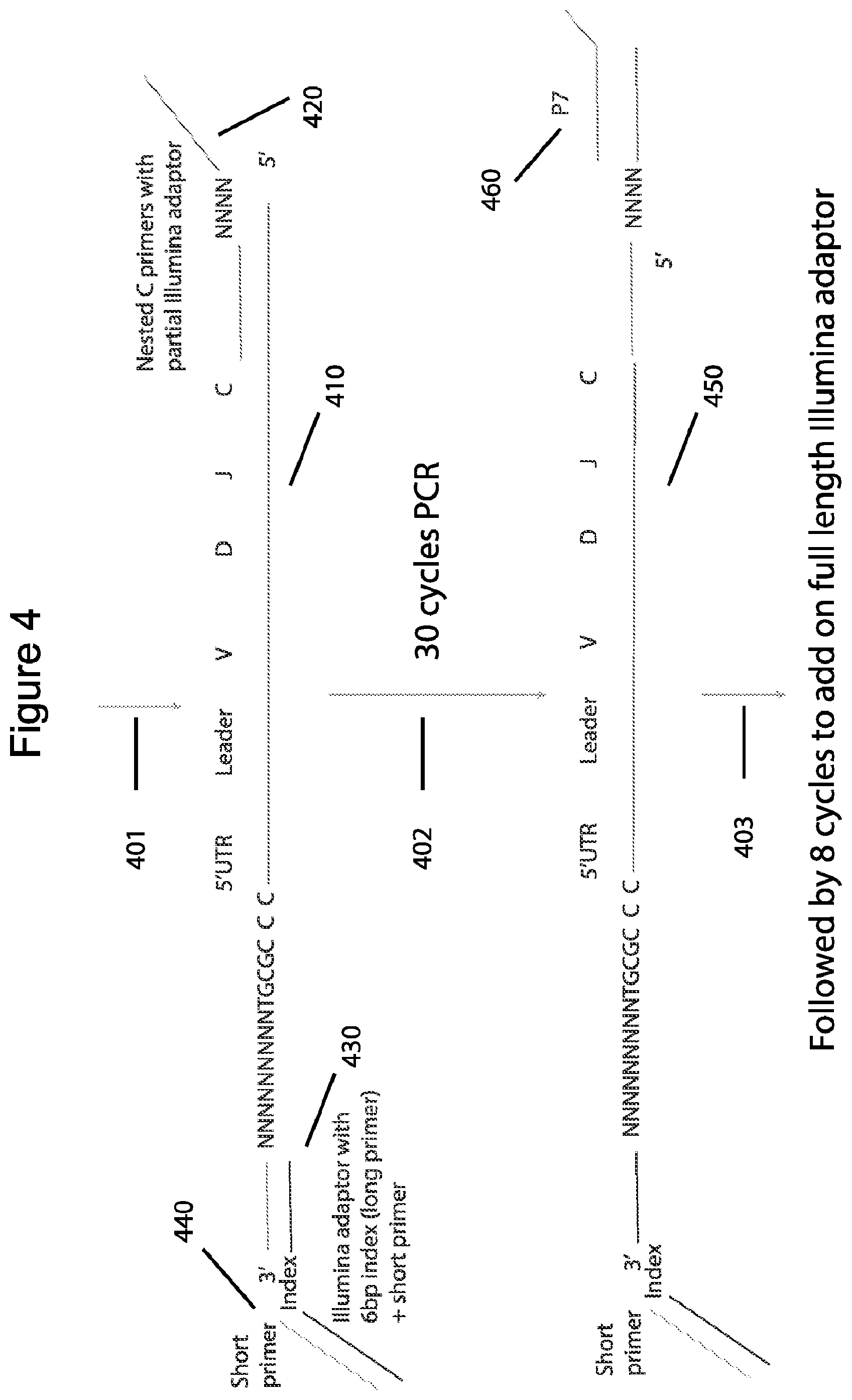 Patent US12576381 Figure 4 – Methods and compositions for tagging and analyzing samples
