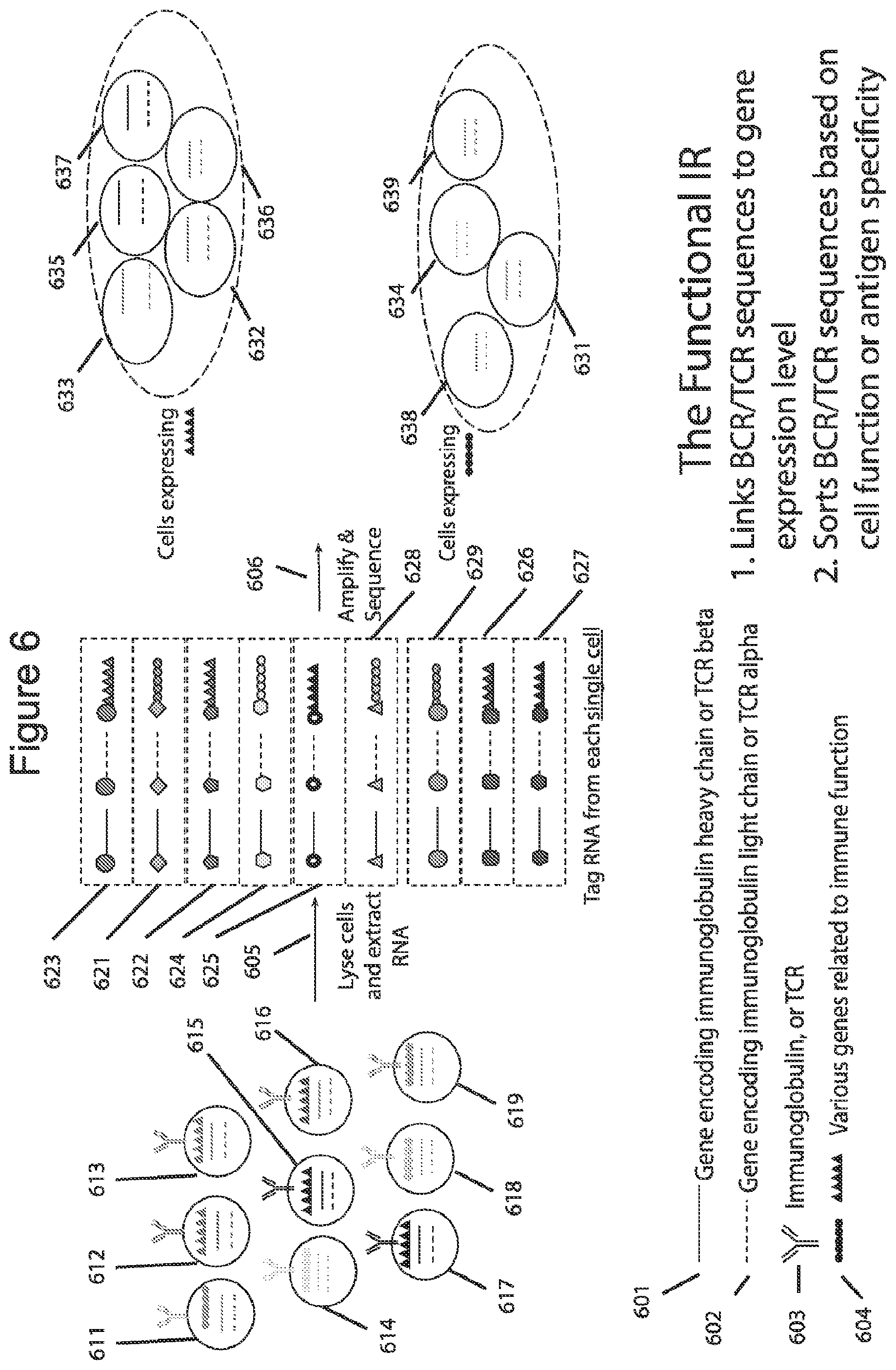 Patent US12576381 Figure 6 – Methods and compositions for tagging and analyzing samples