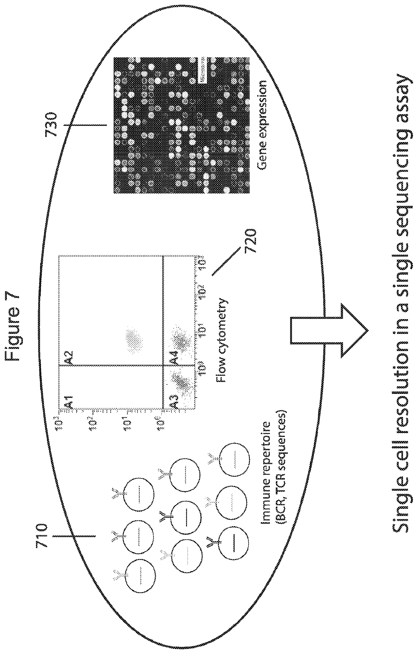 Patent US12576381 Figure 7 – Methods and compositions for tagging and analyzing samples