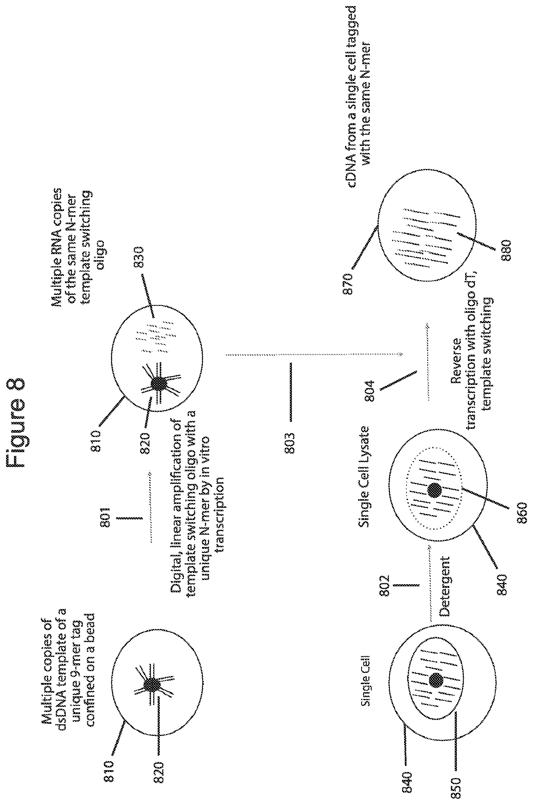 Patent US12576381 Figure 8 – Methods and compositions for tagging and analyzing samples
