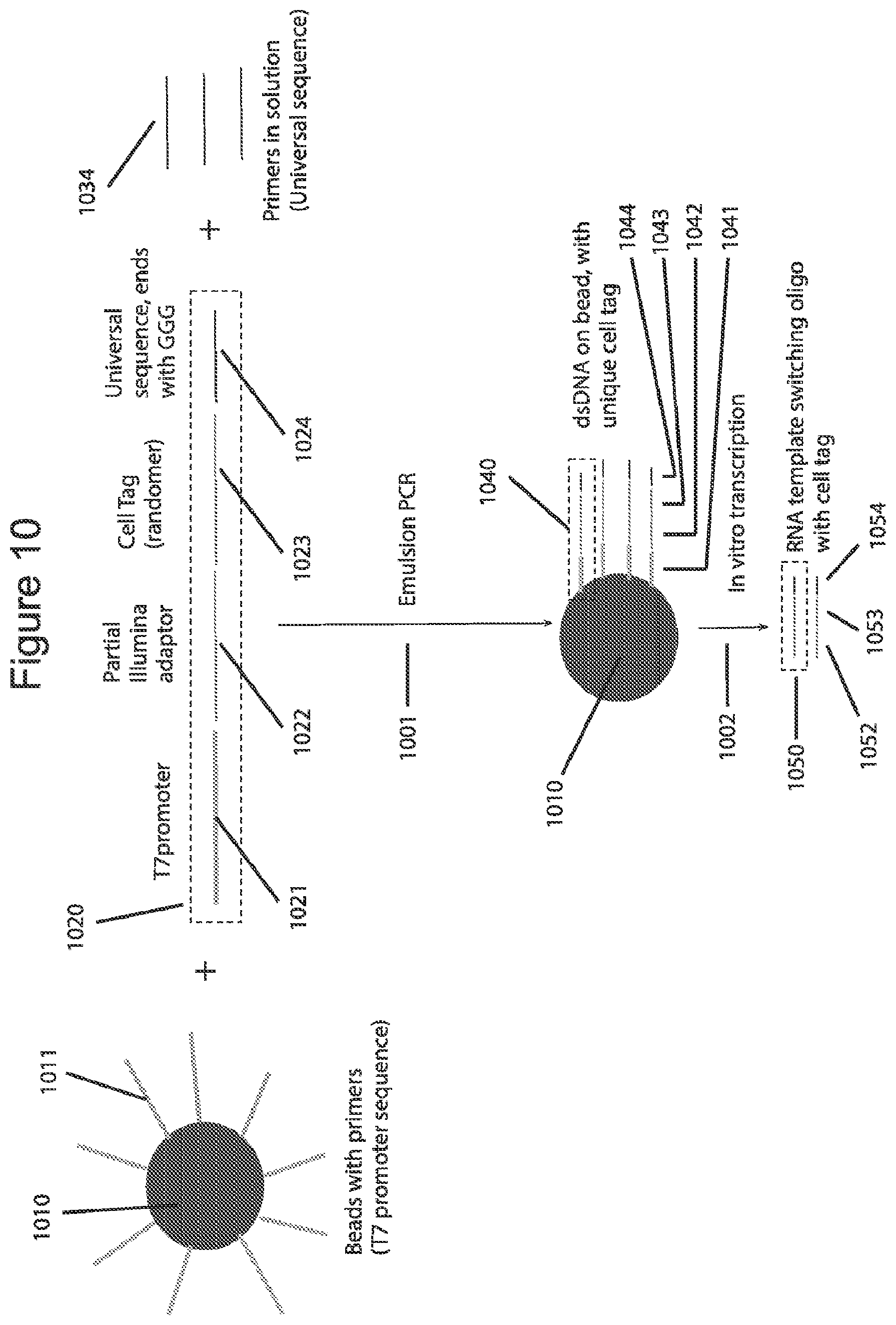Patent US12576381 Figure 10 – Methods and compositions for tagging and analyzing samples