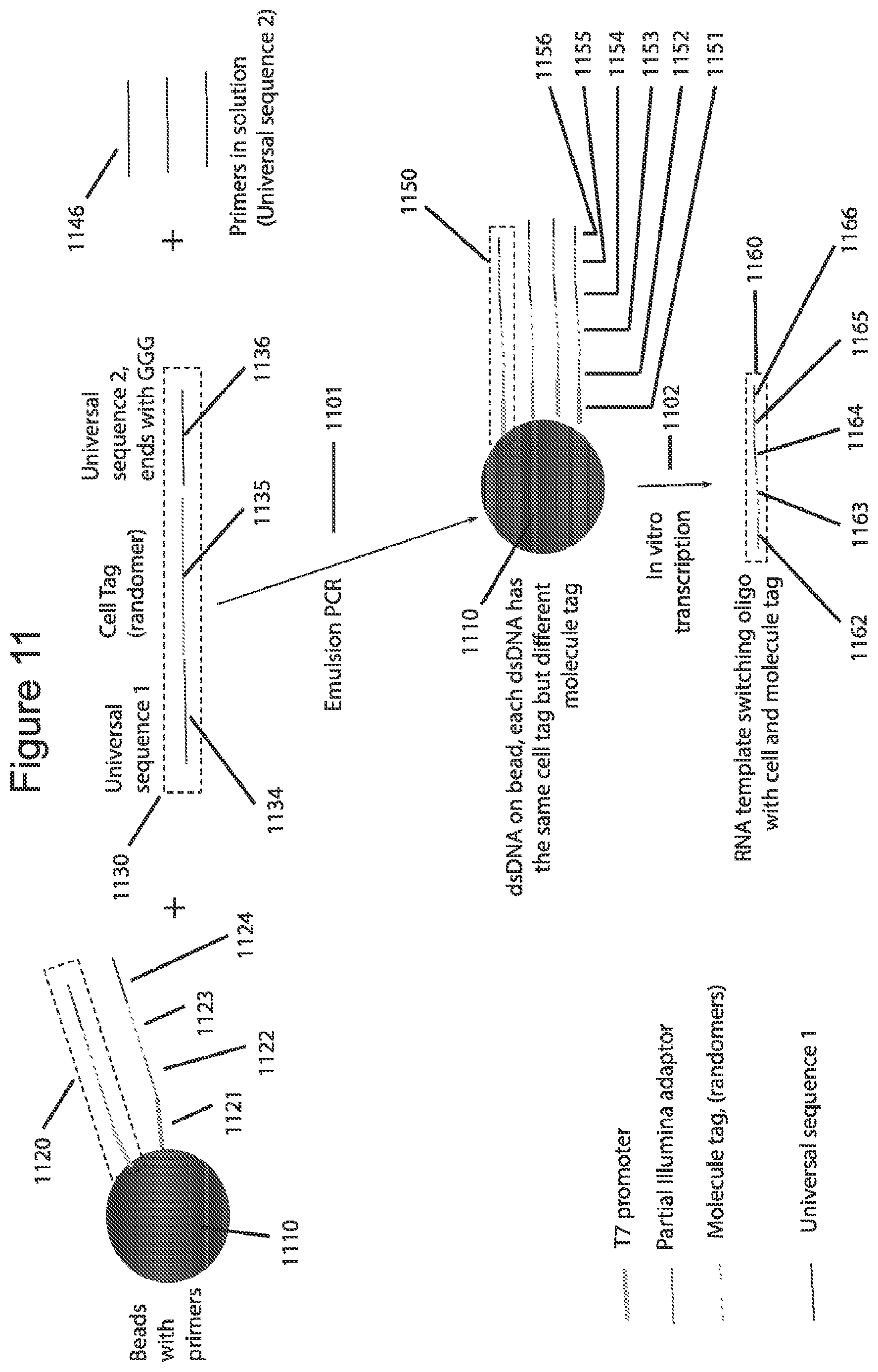 Patent US12576381 Figure 11 – Methods and compositions for tagging and analyzing samples