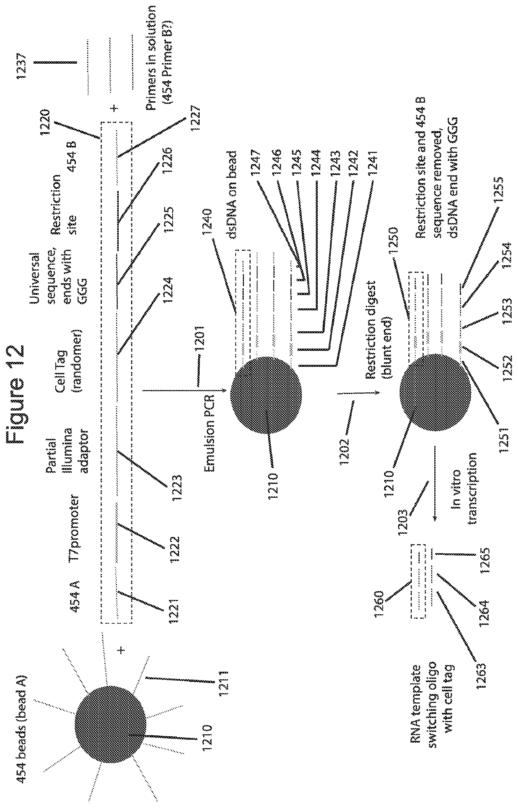Patent US12576381 Figure 12 – Methods and compositions for tagging and analyzing samples