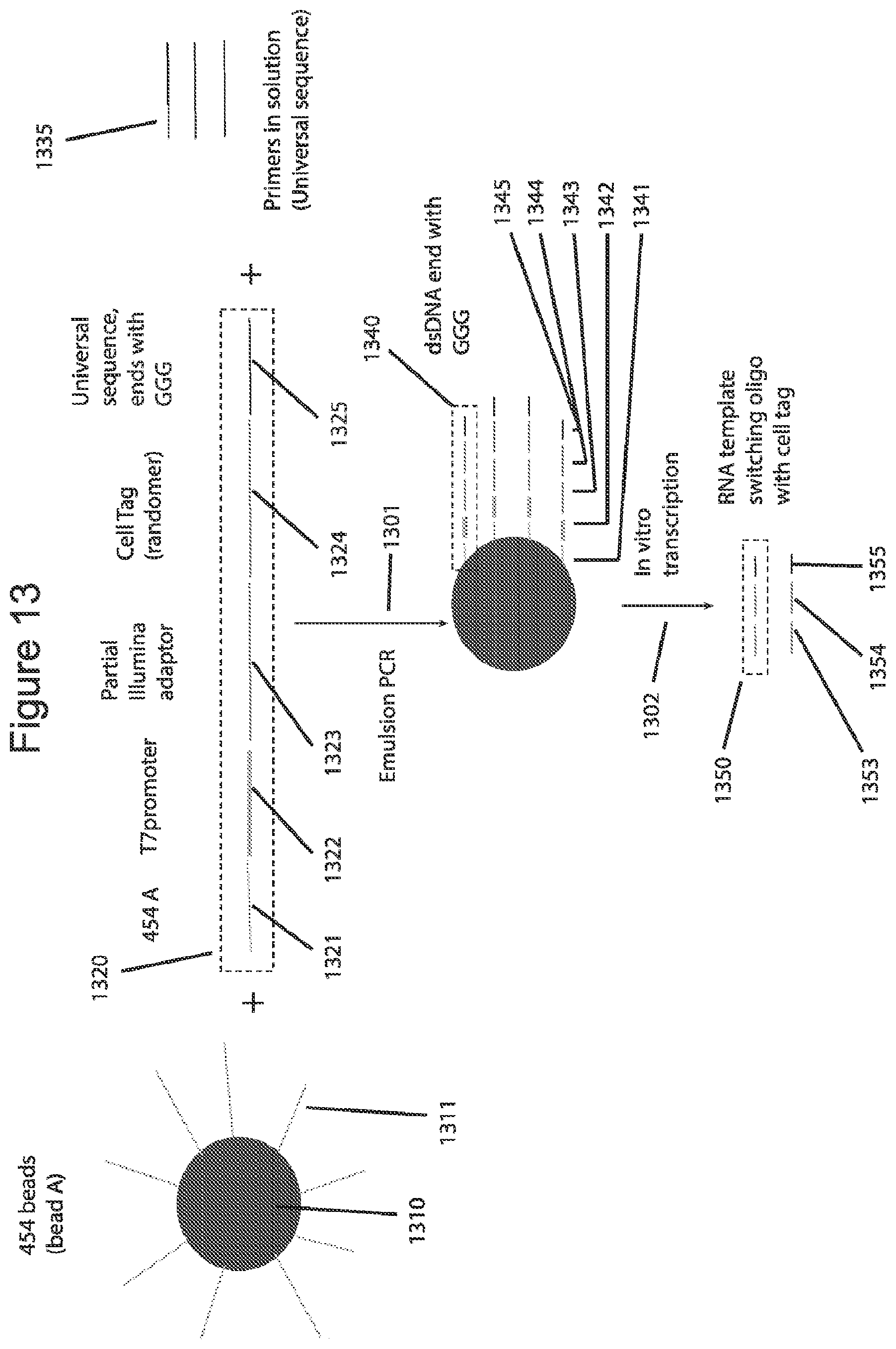 Patent US12576381 Figure 13 – Methods and compositions for tagging and analyzing samples