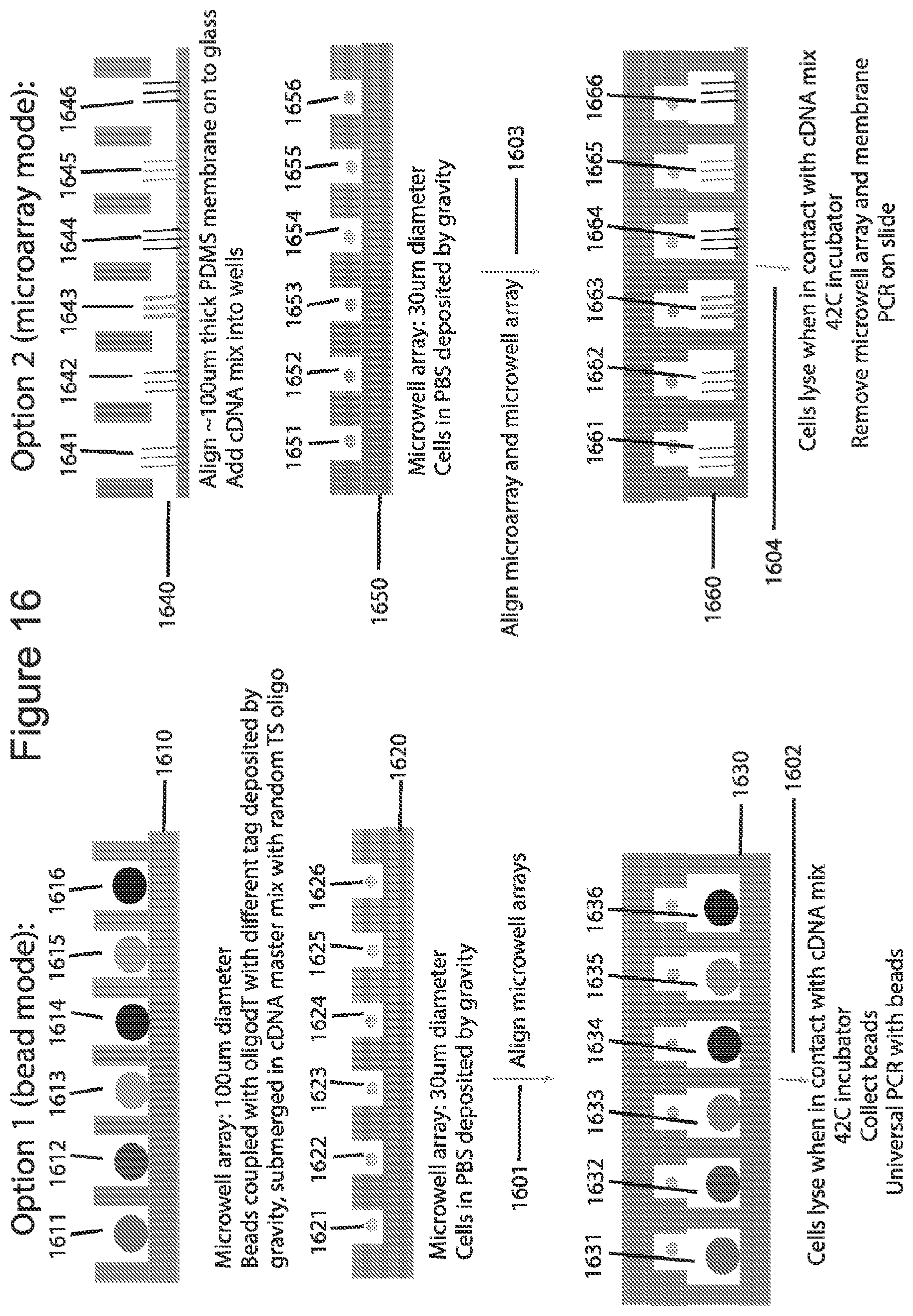 Patent US12576381 Figure 16 – Methods and compositions for tagging and analyzing samples