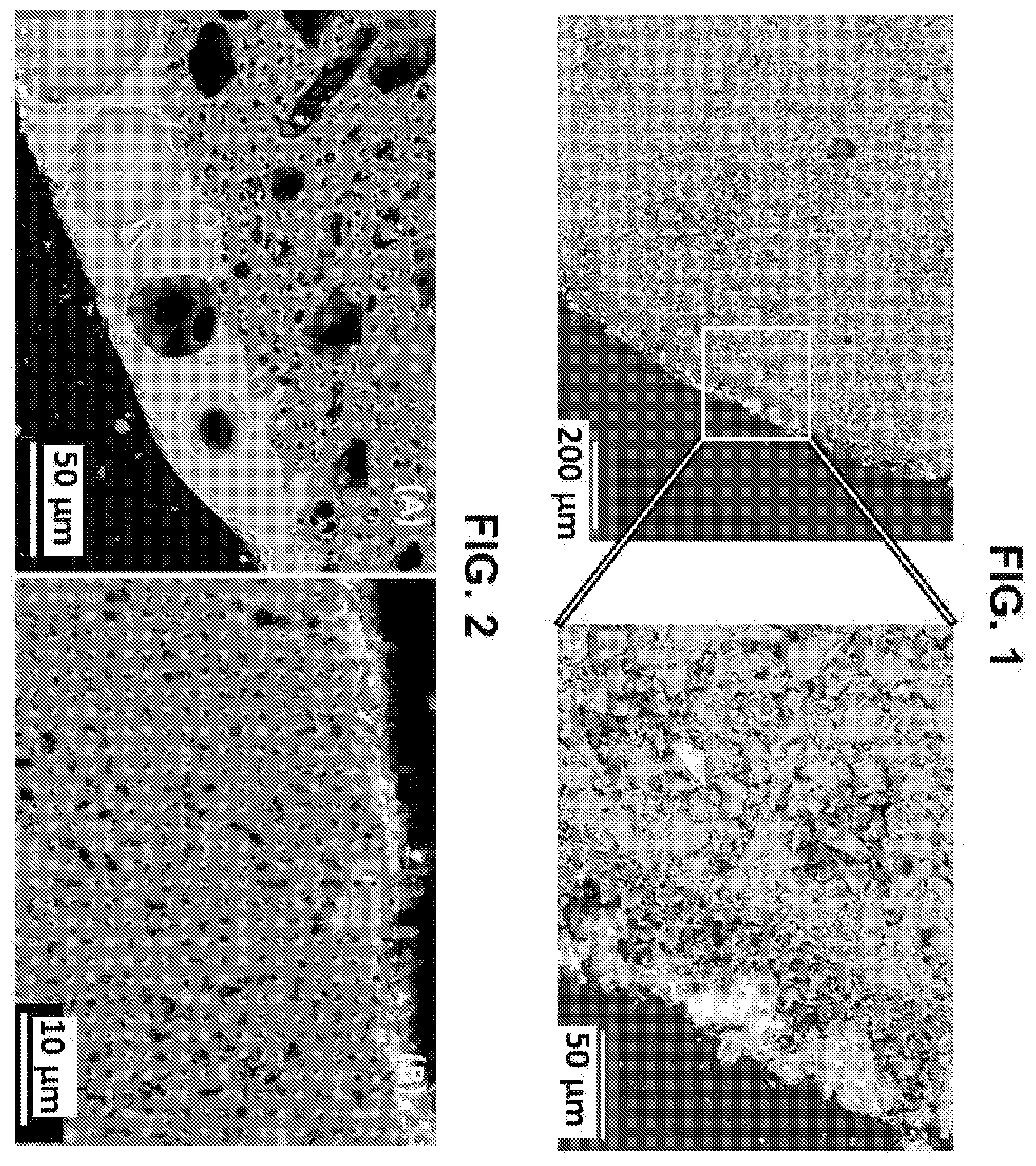 Patent US12576391 Figure 1 – Catalyst support materials, catalyst supports, catalysts and reaction methods using catalysts