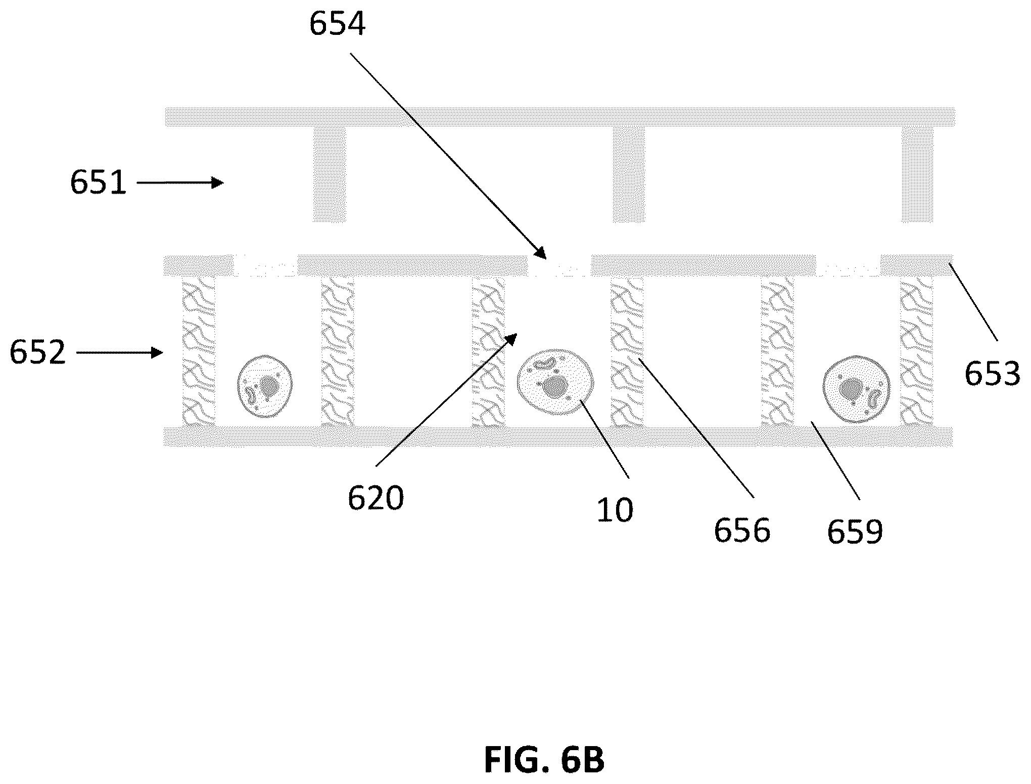 Patent US12576400 Figure 11 – Methods for incubating and analyzing a cell in a compartment of a fluidic device