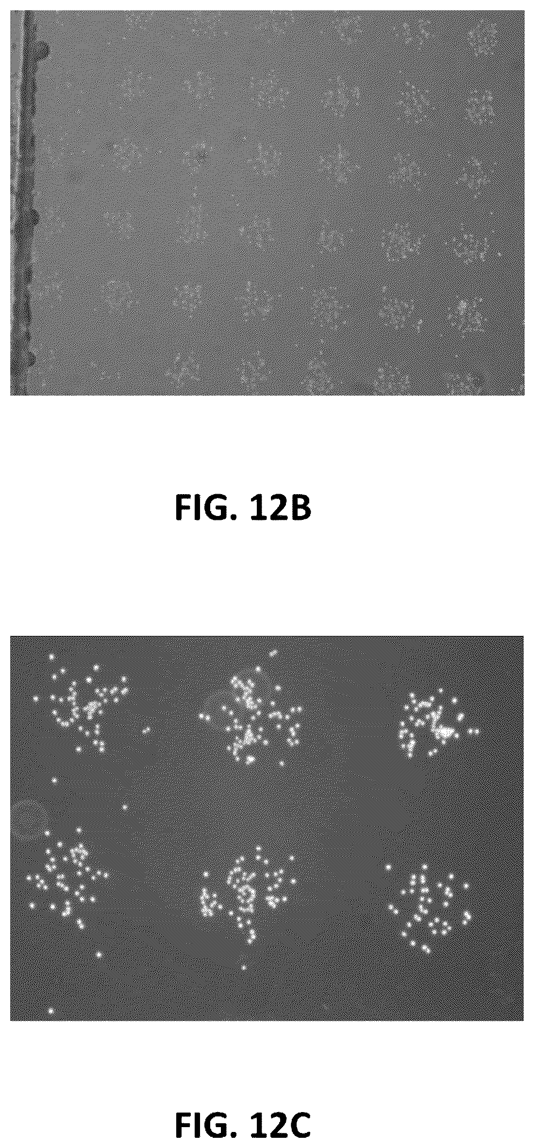 Patent US12576400 Figure 19 – Methods for incubating and analyzing a cell in a compartment of a fluidic device